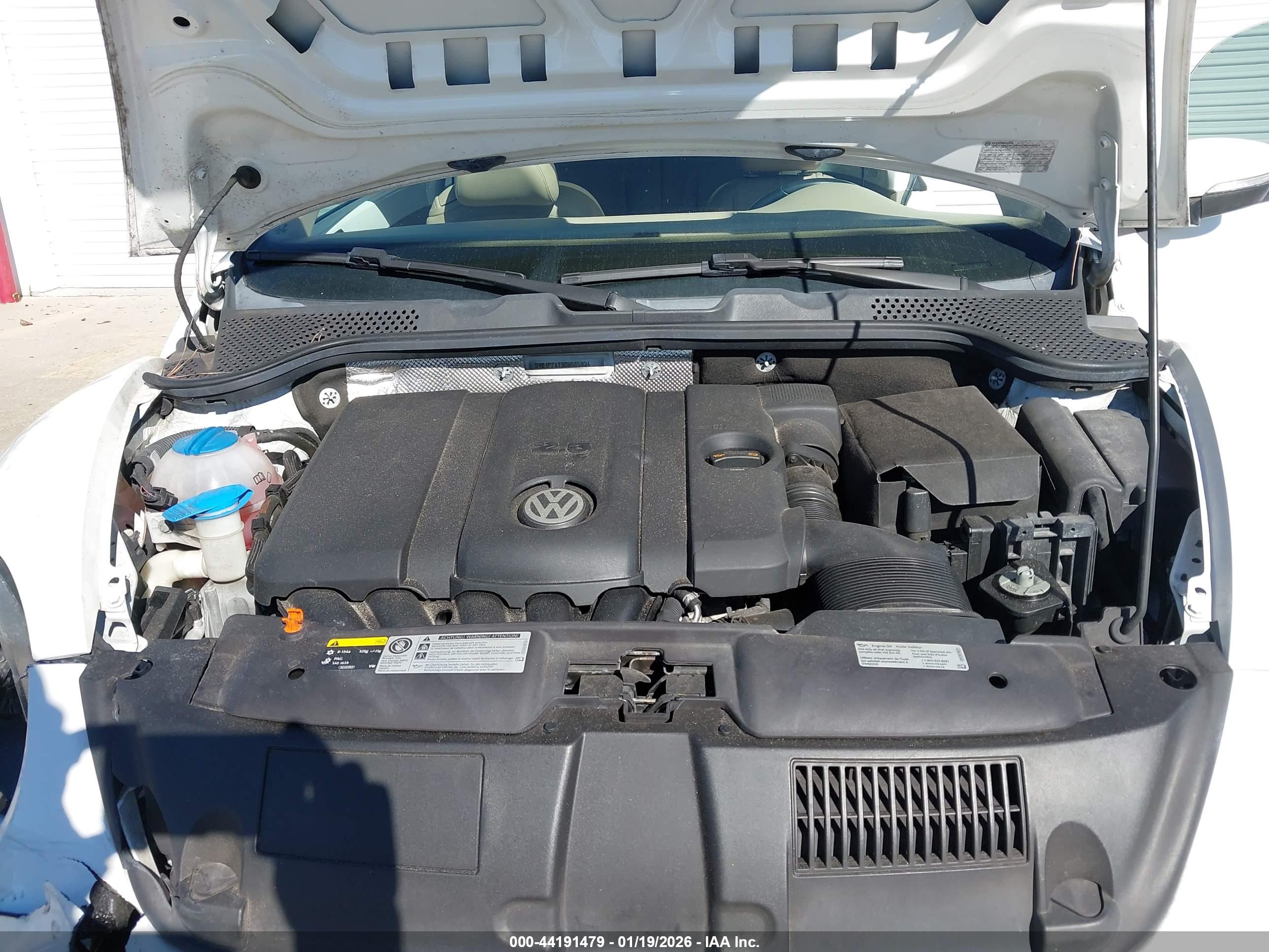 VOLKSWAGEN BEETLE image 10