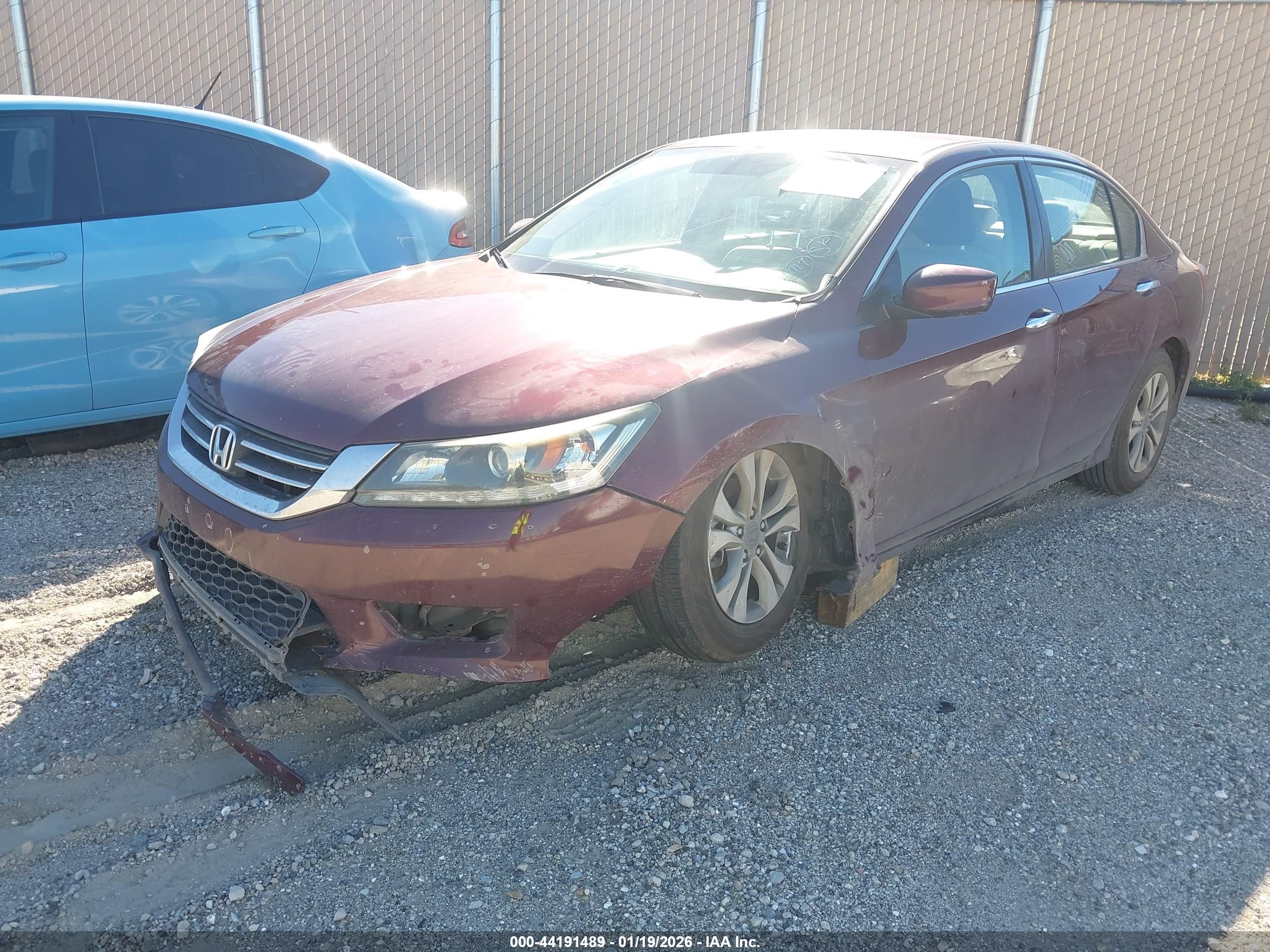 HONDA ACCORD image 2