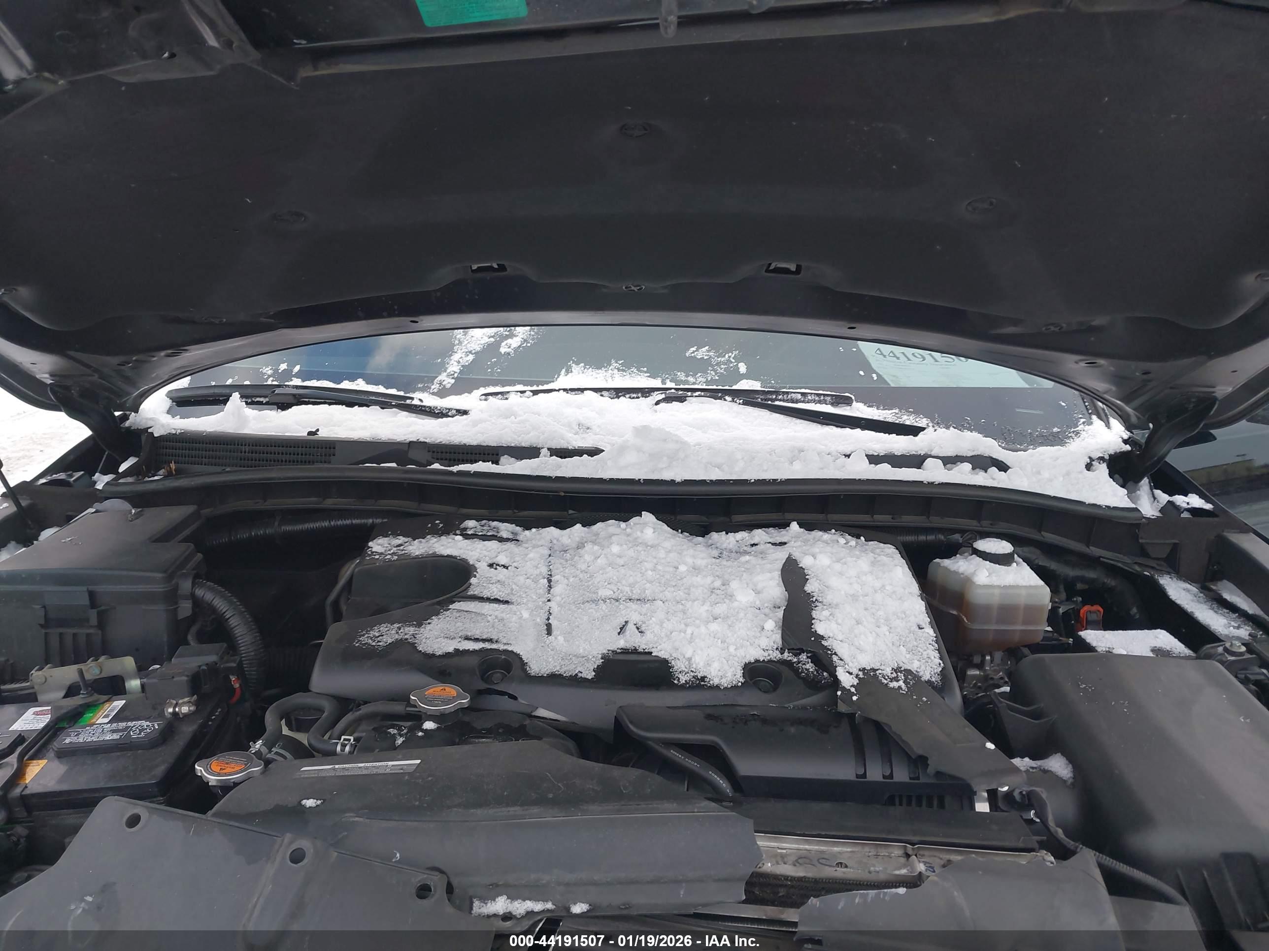 INFINITI QX80 image 10
