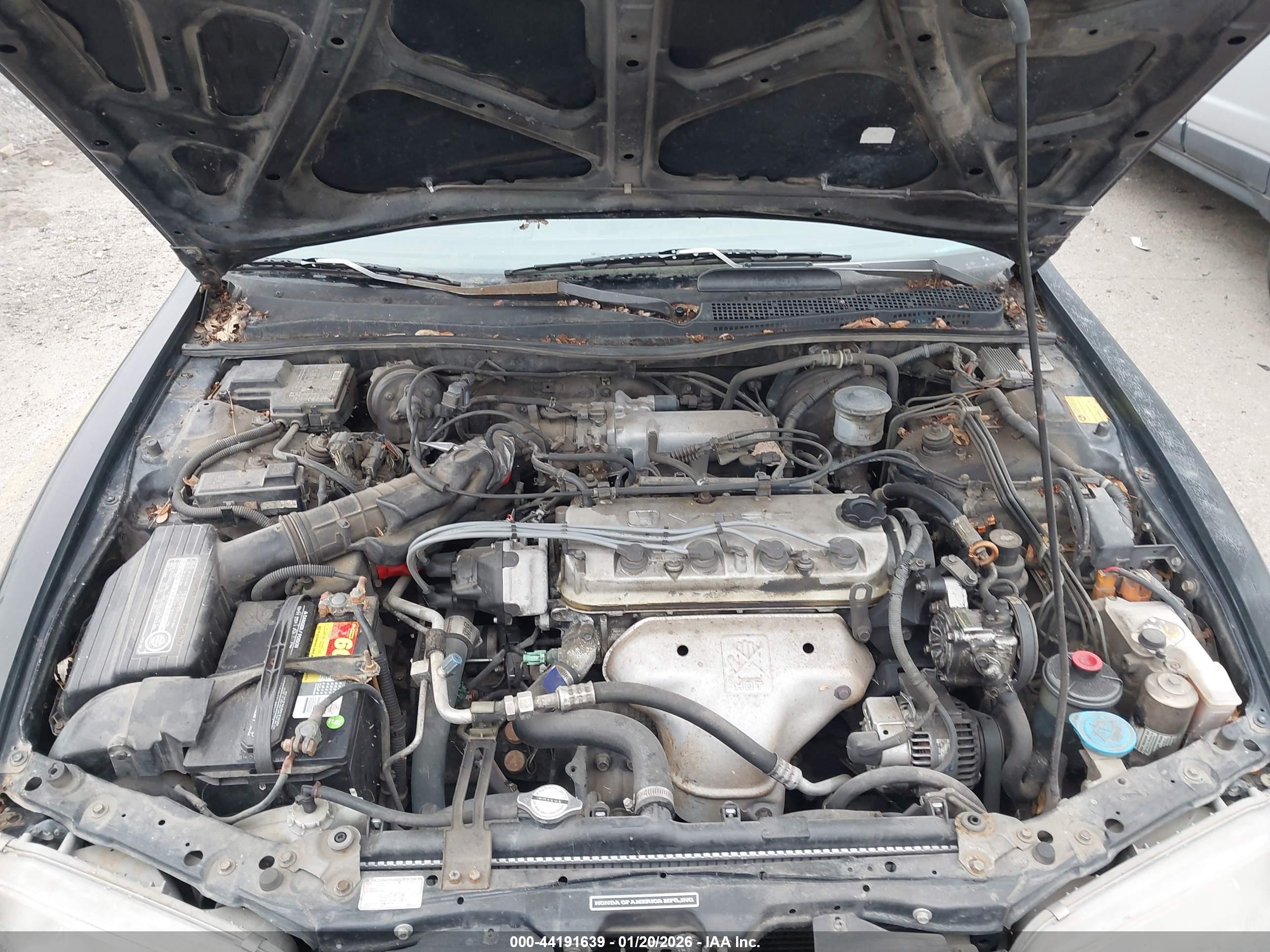 HONDA ACCORD image 10