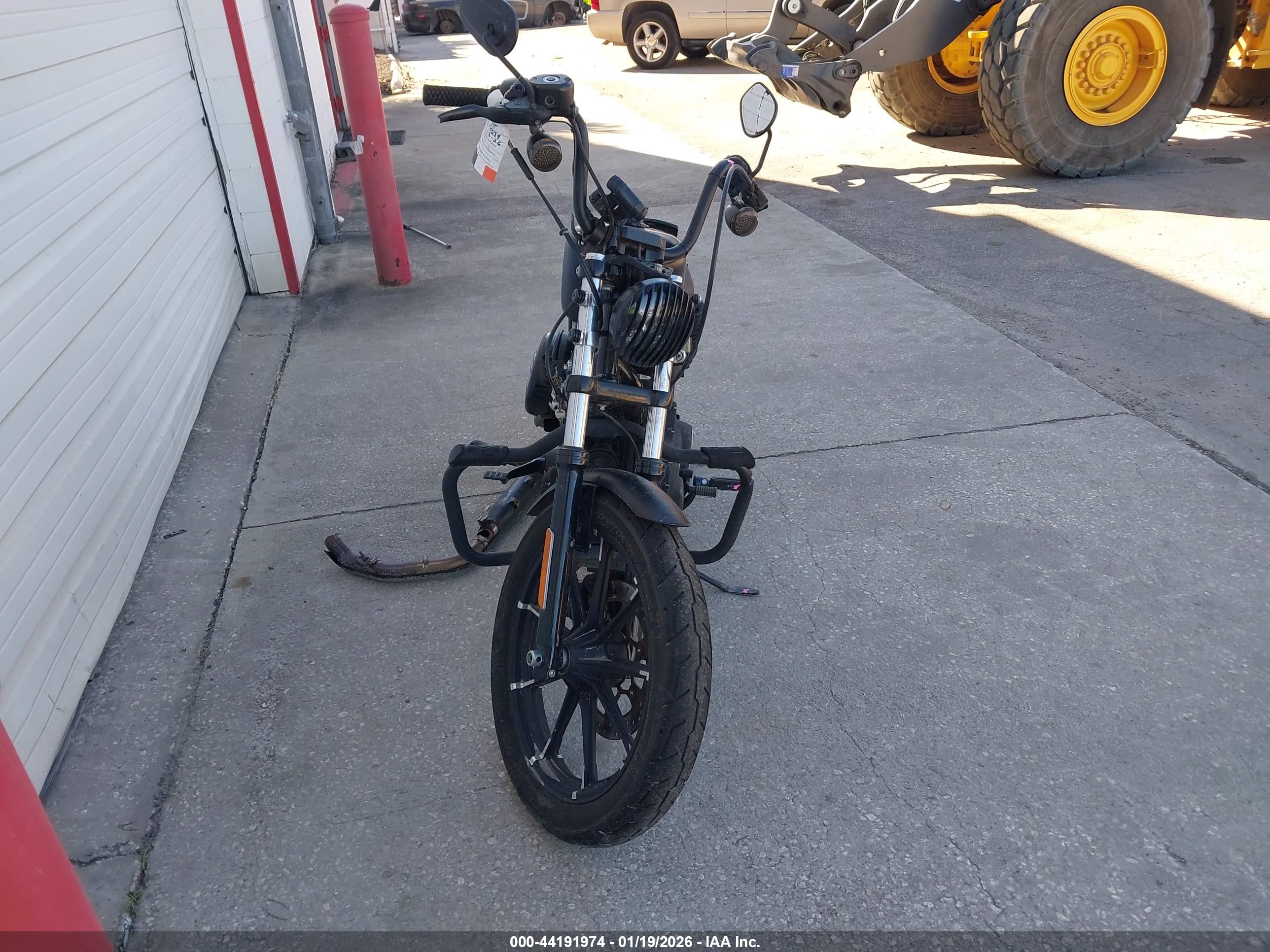 HARLEY-DAVIDSON XL883 image 5
