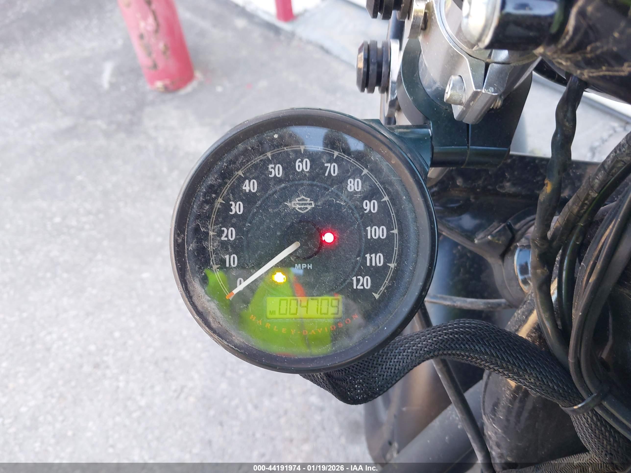 HARLEY-DAVIDSON XL883 image 7