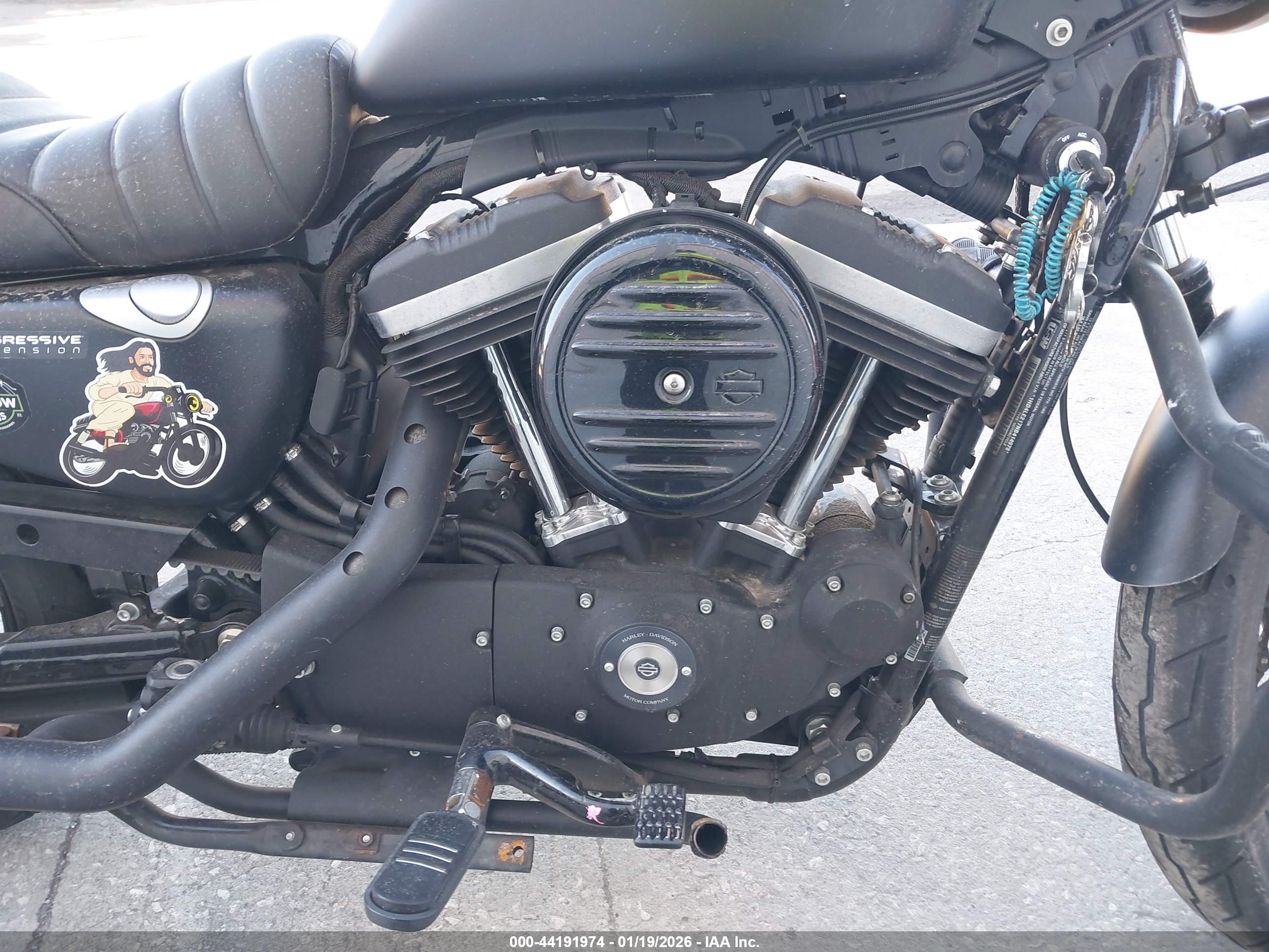 HARLEY-DAVIDSON XL883 image 8