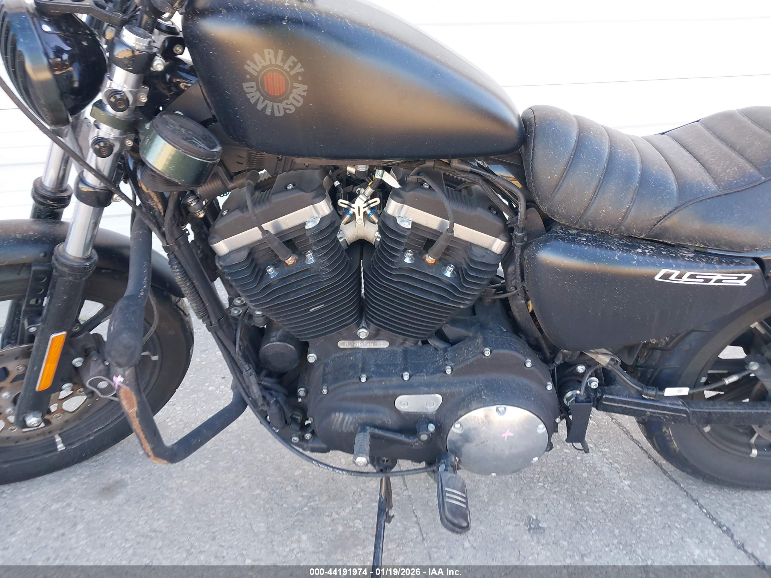 HARLEY-DAVIDSON XL883 image 9