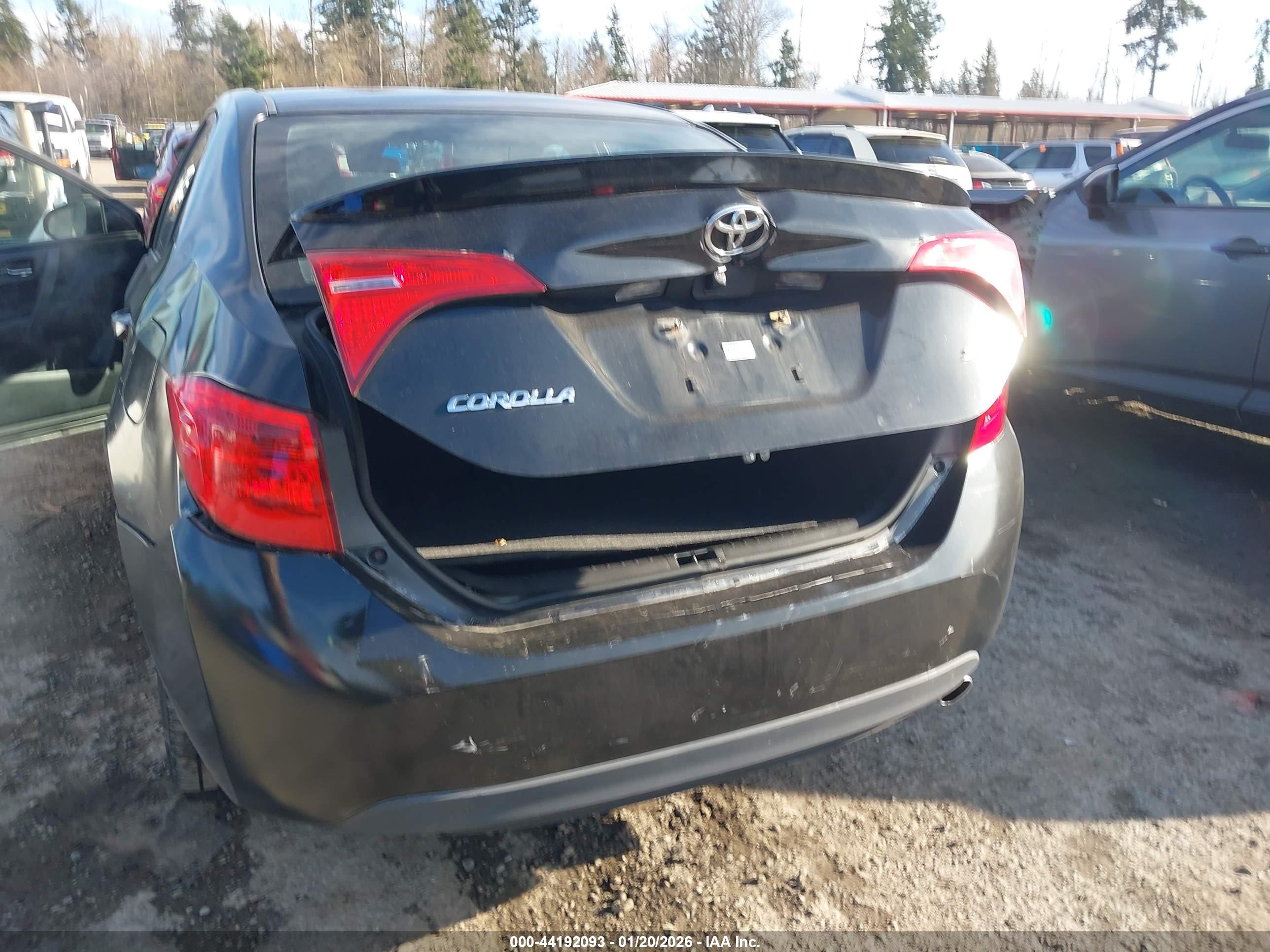 TOYOTA COROLLA image 6