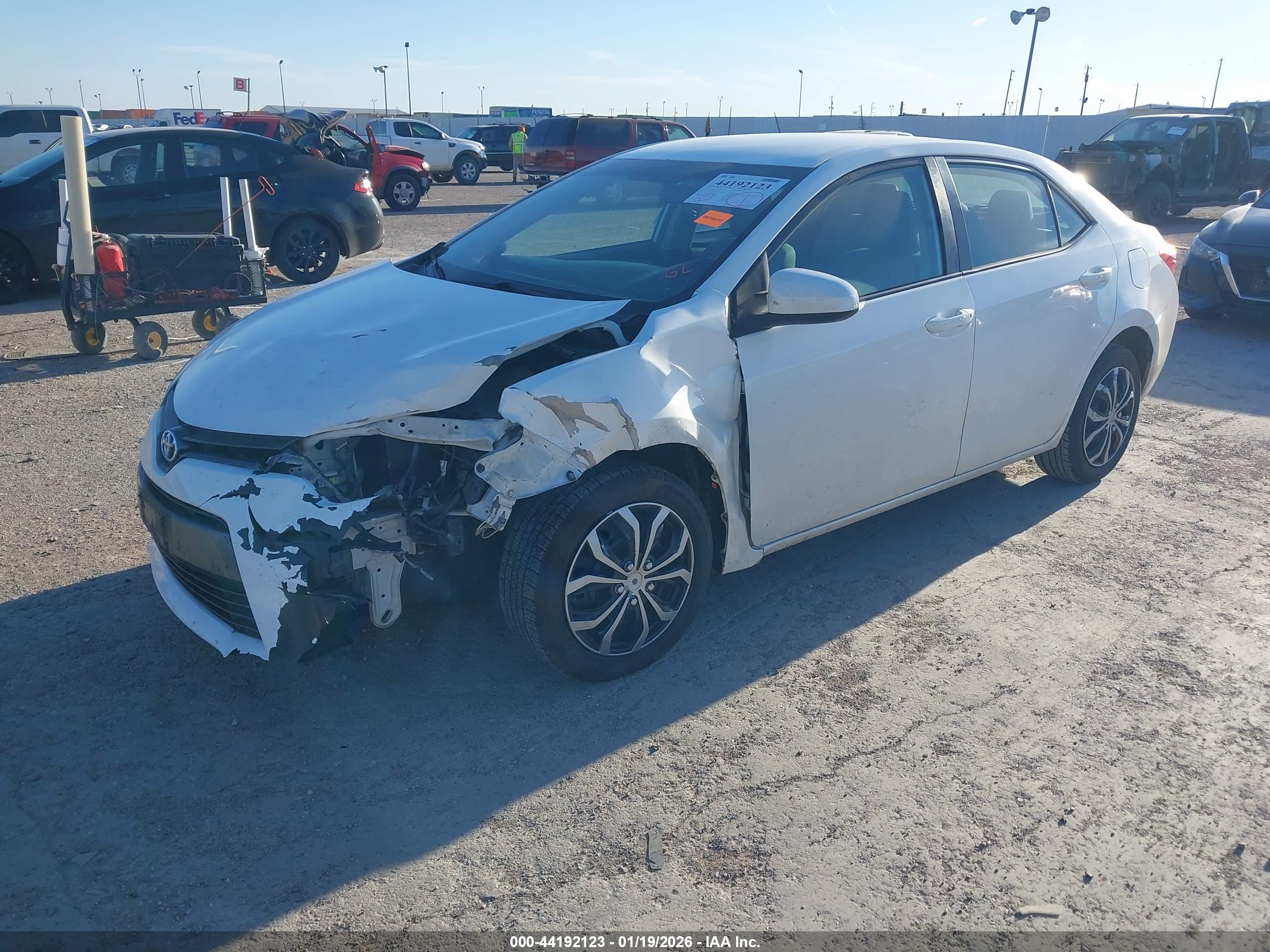 TOYOTA COROLLA image 2