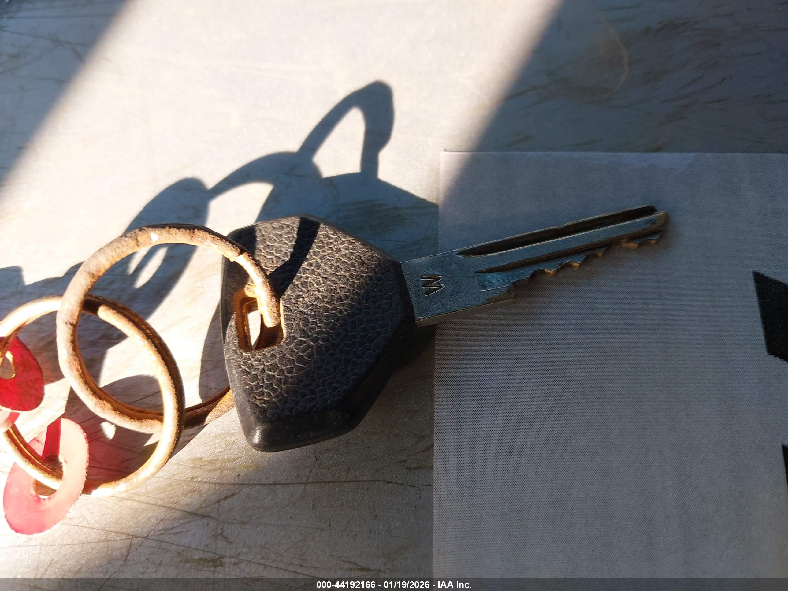 JEEP WRANGLER image 11