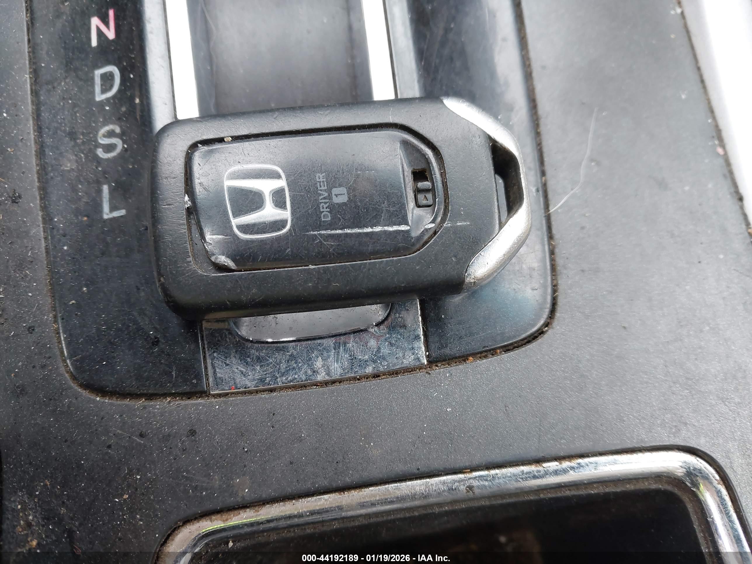 HONDA ACCORD image 11