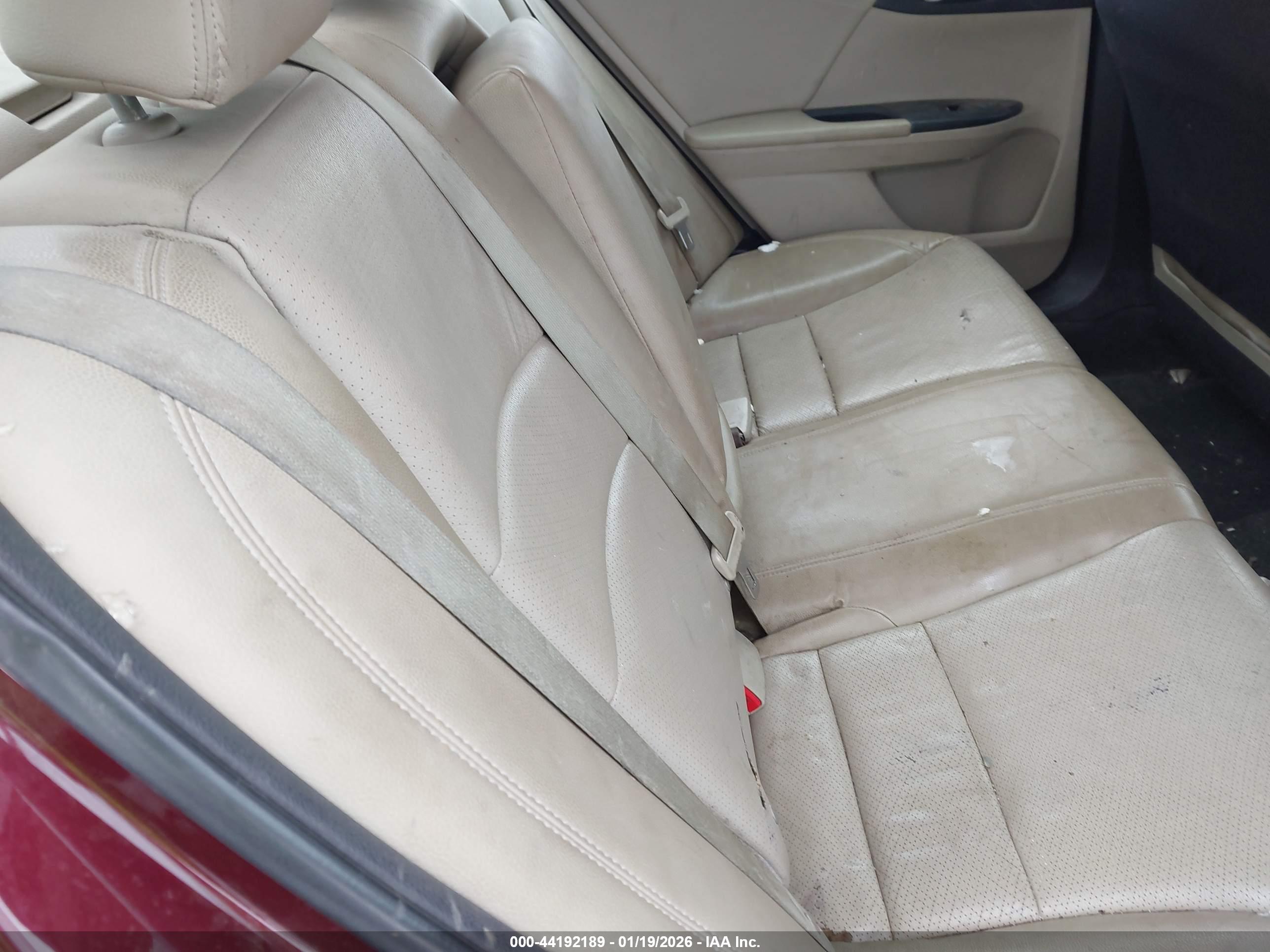 HONDA ACCORD image 8