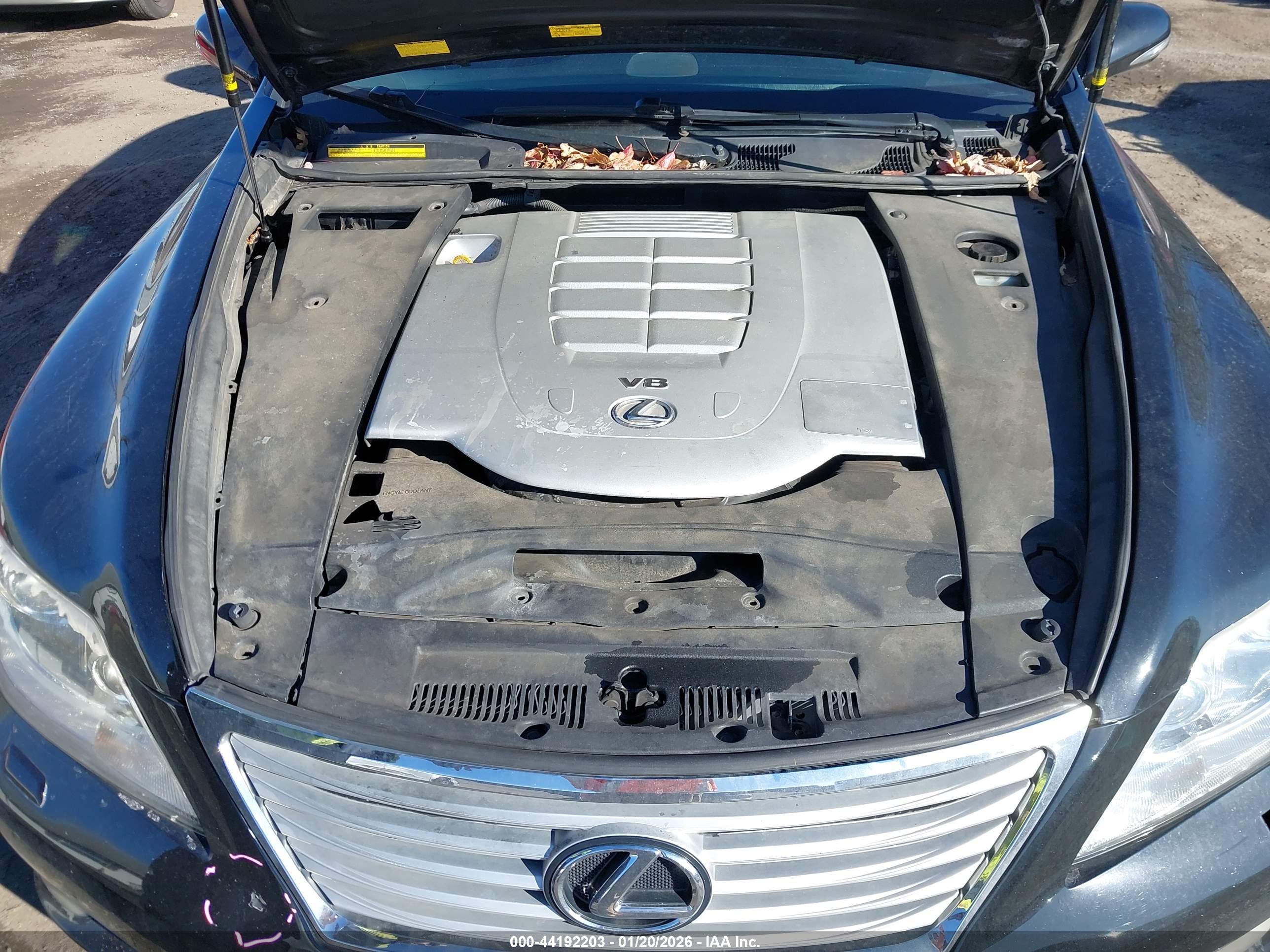 LEXUS LS image 10