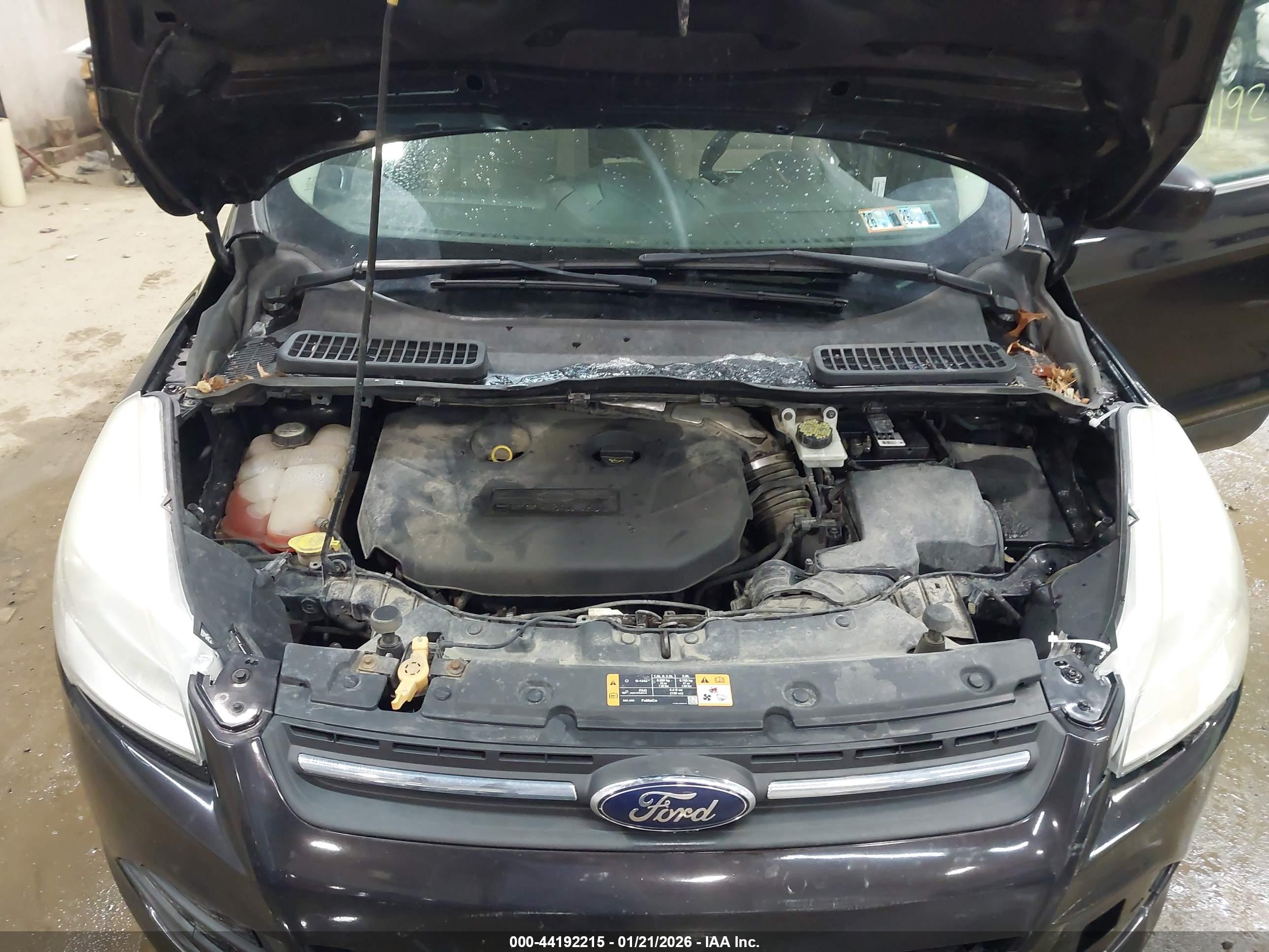 FORD ESCAPE image 10