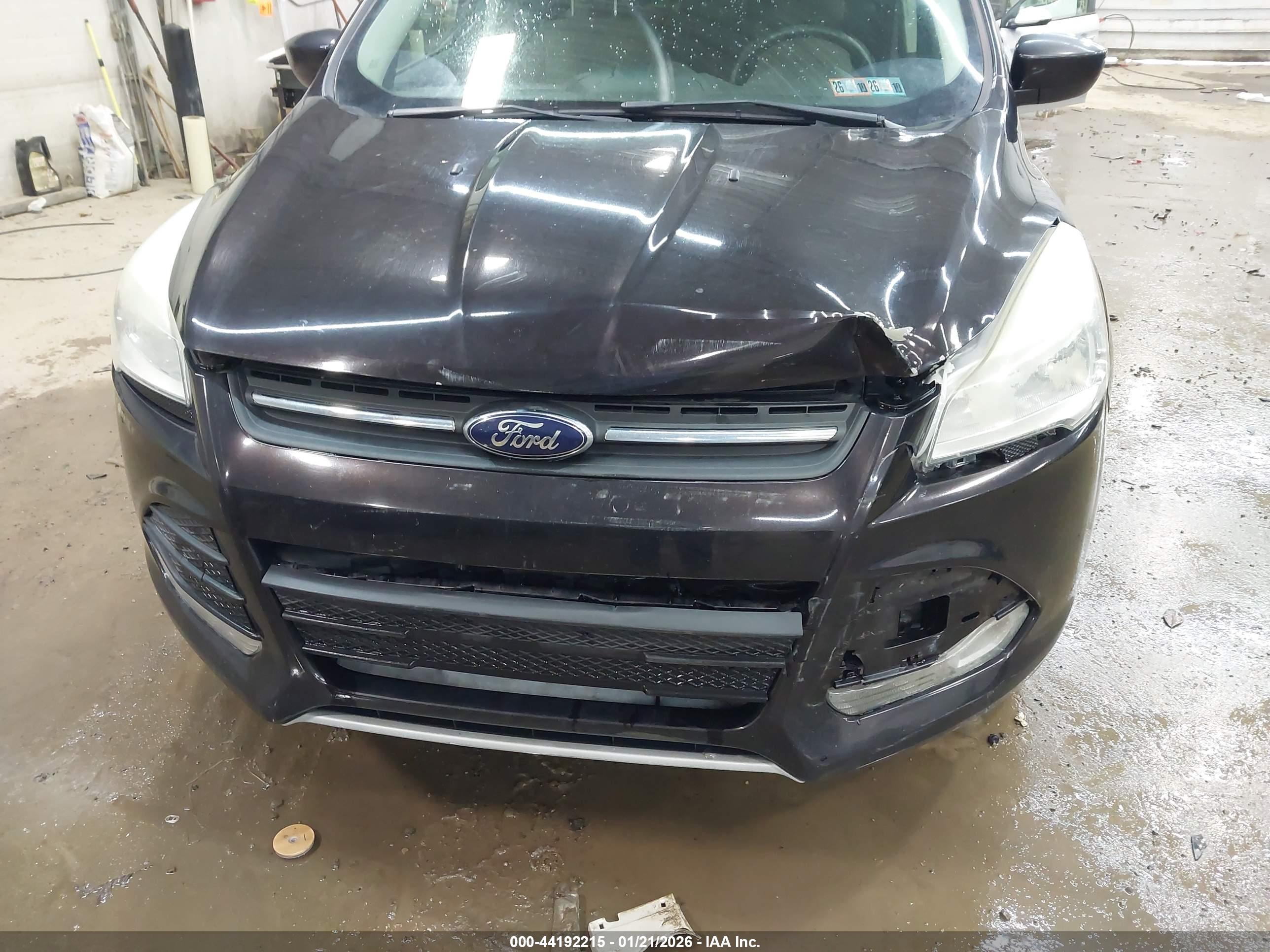 FORD ESCAPE image 6