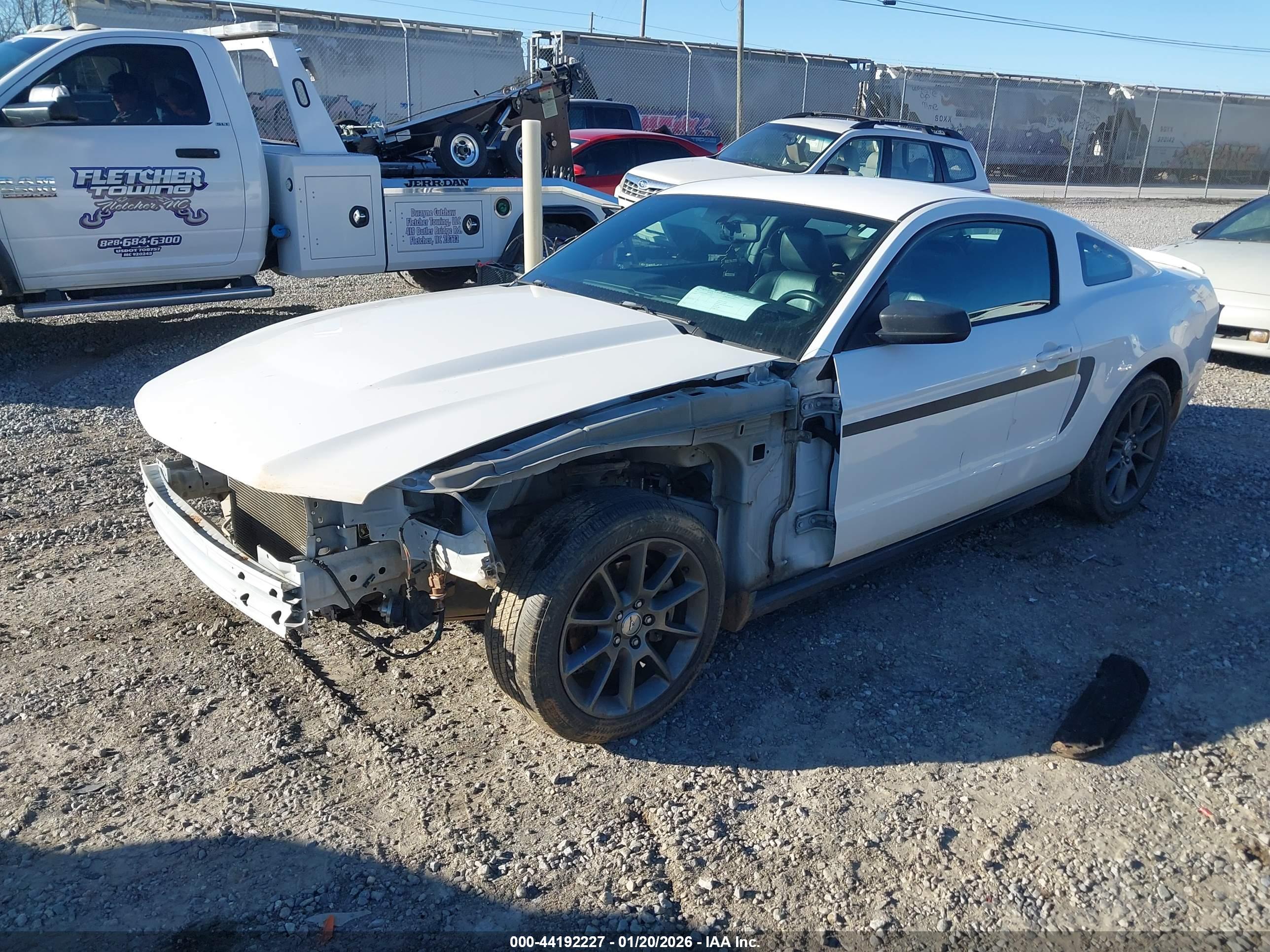 FORD MUSTANG image 2