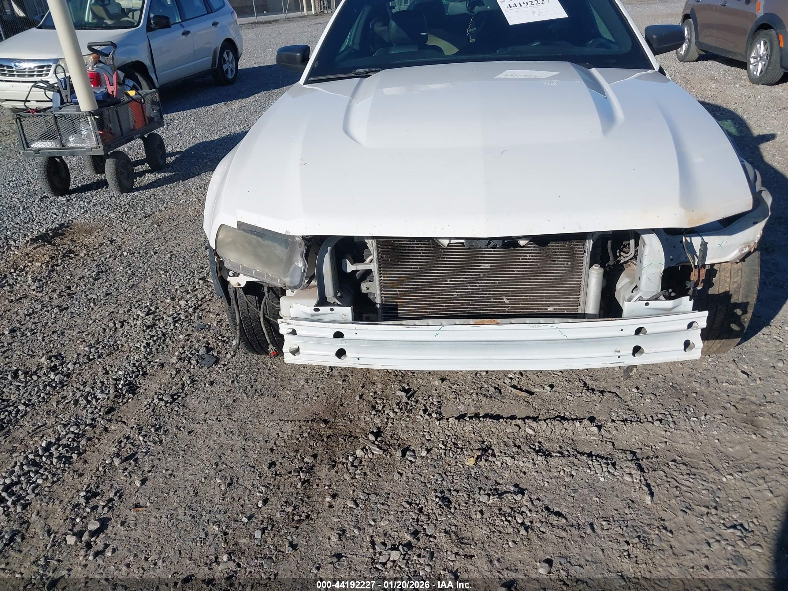 FORD MUSTANG image 6