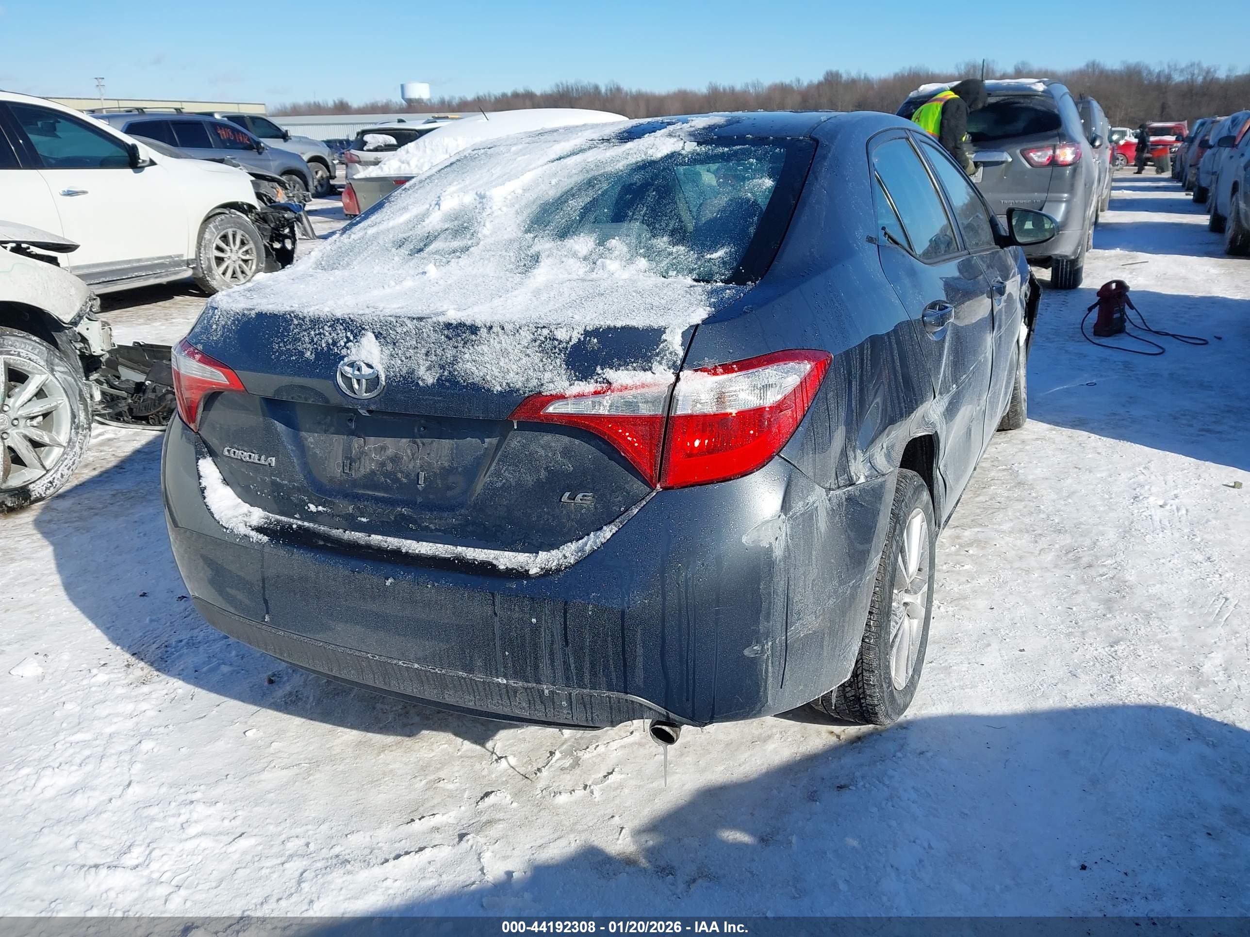 TOYOTA COROLLA image 4