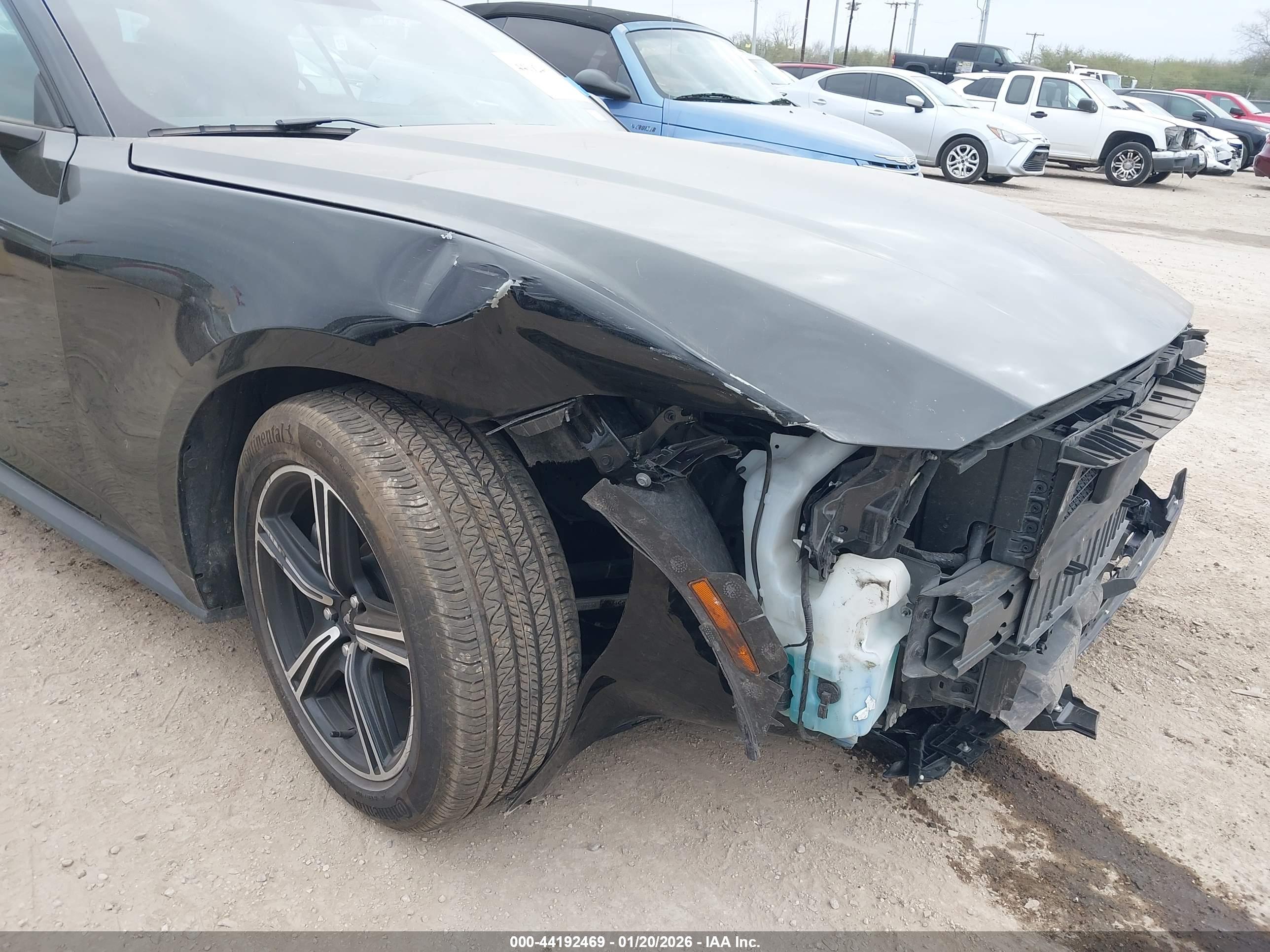 FORD MUSTANG image 6