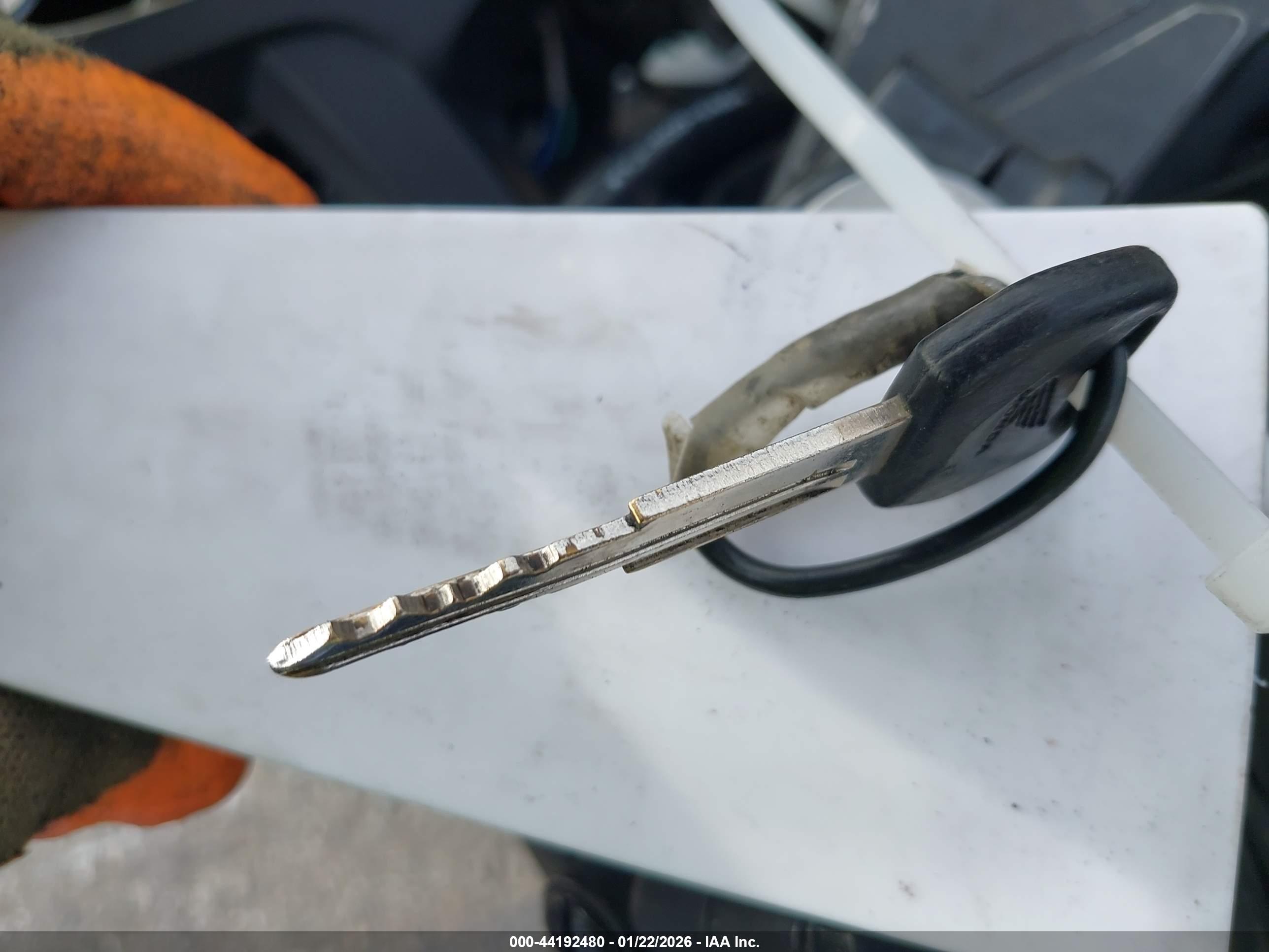 HONDA CBR300 image 11
