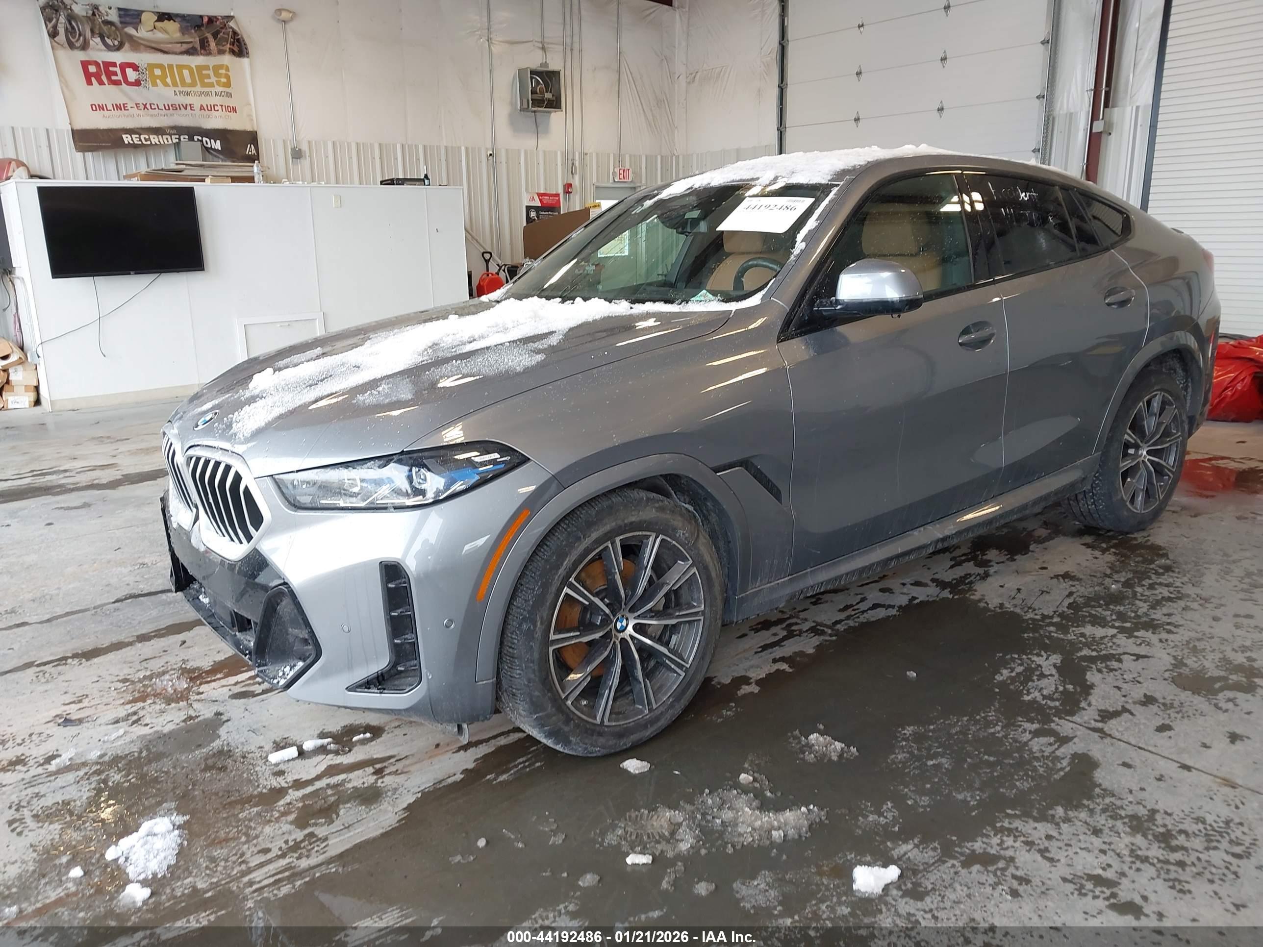 BMW X6 image 2