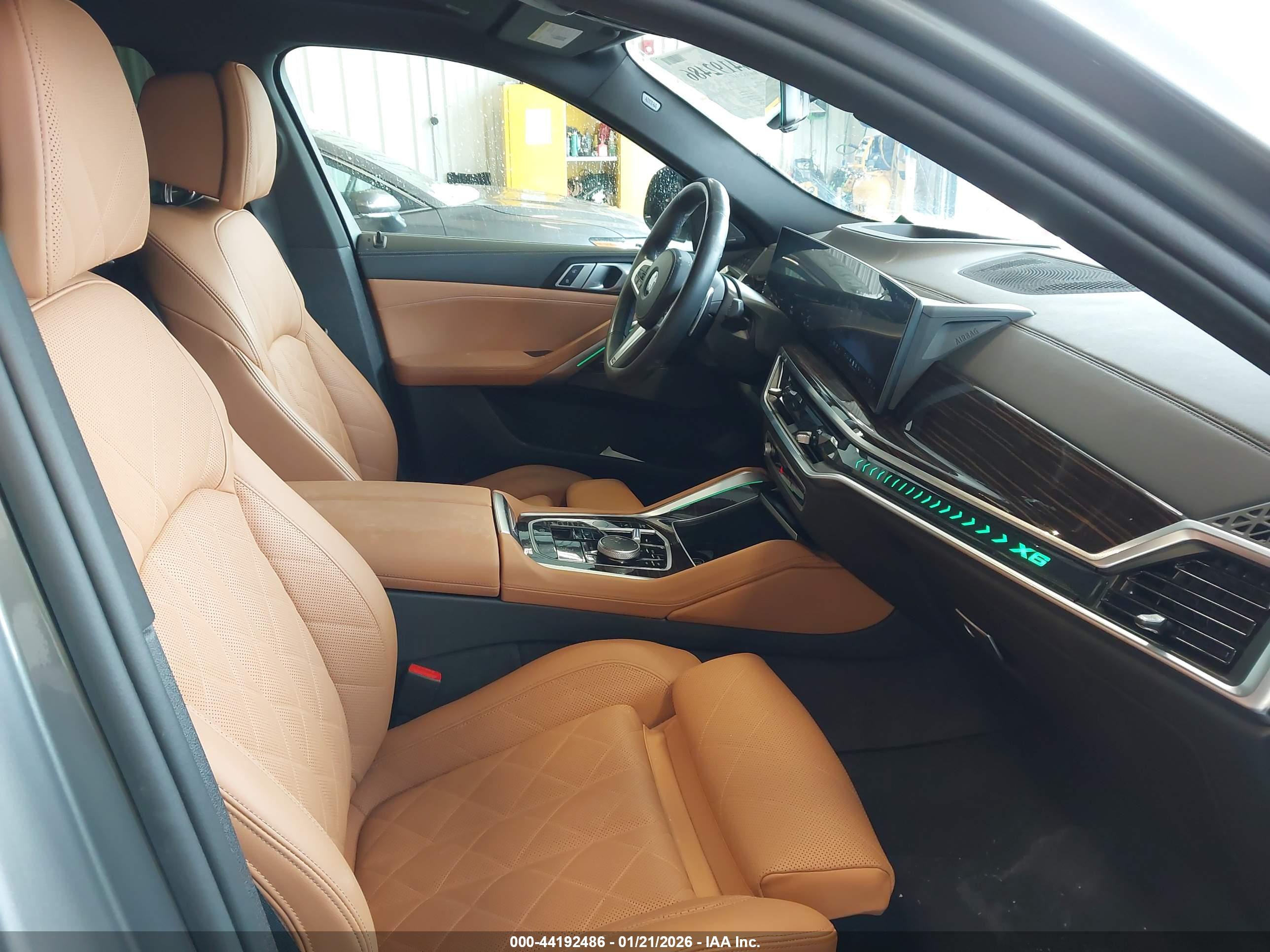 BMW X6 image 5