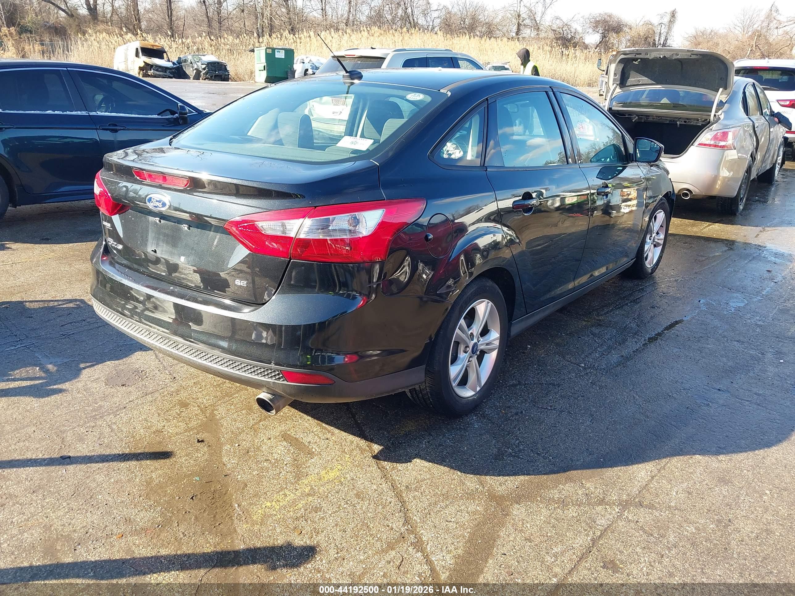 FORD FOCUS image 4