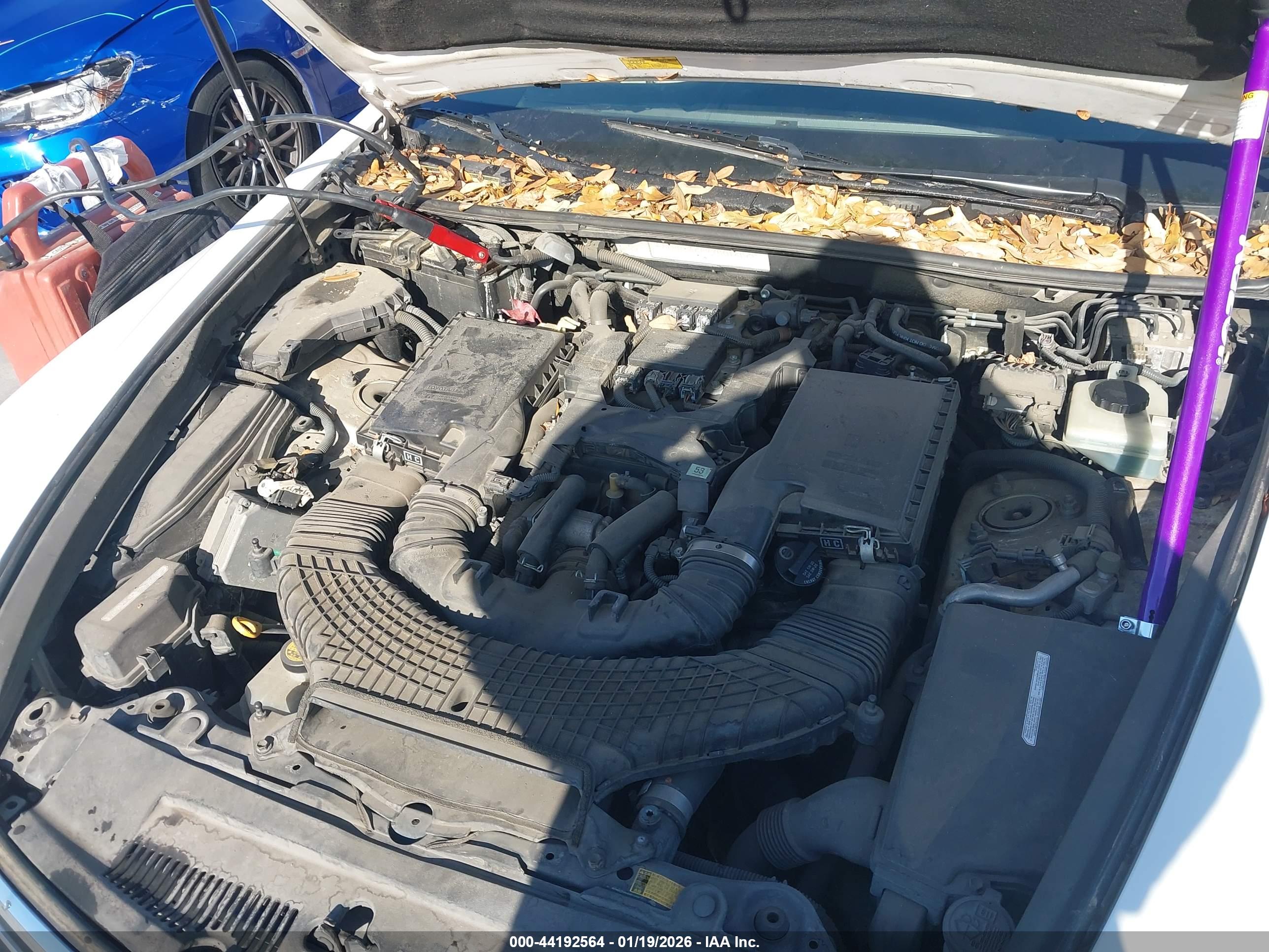 LEXUS LS image 10