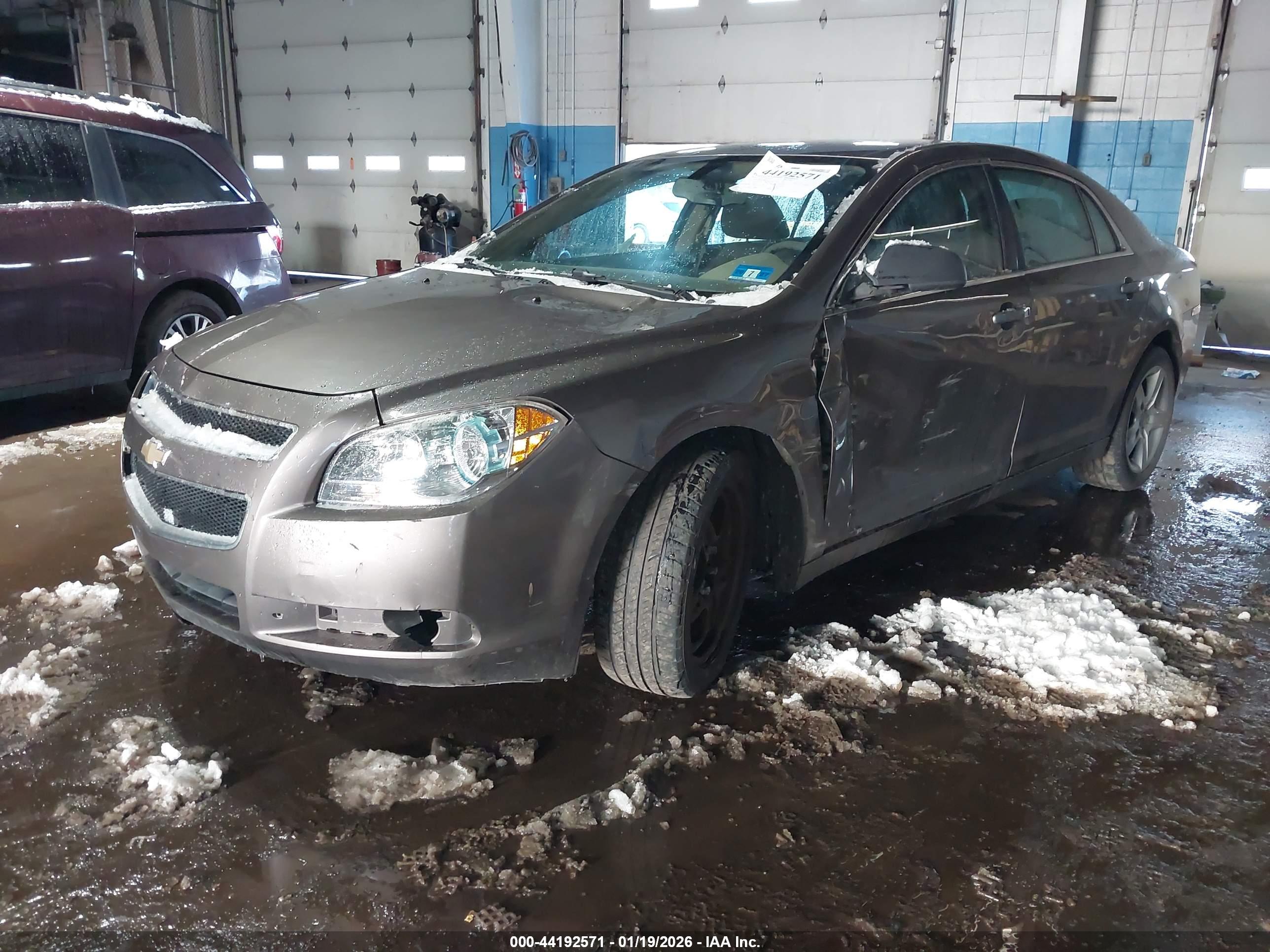 CHEVROLET MALIBU image 2
