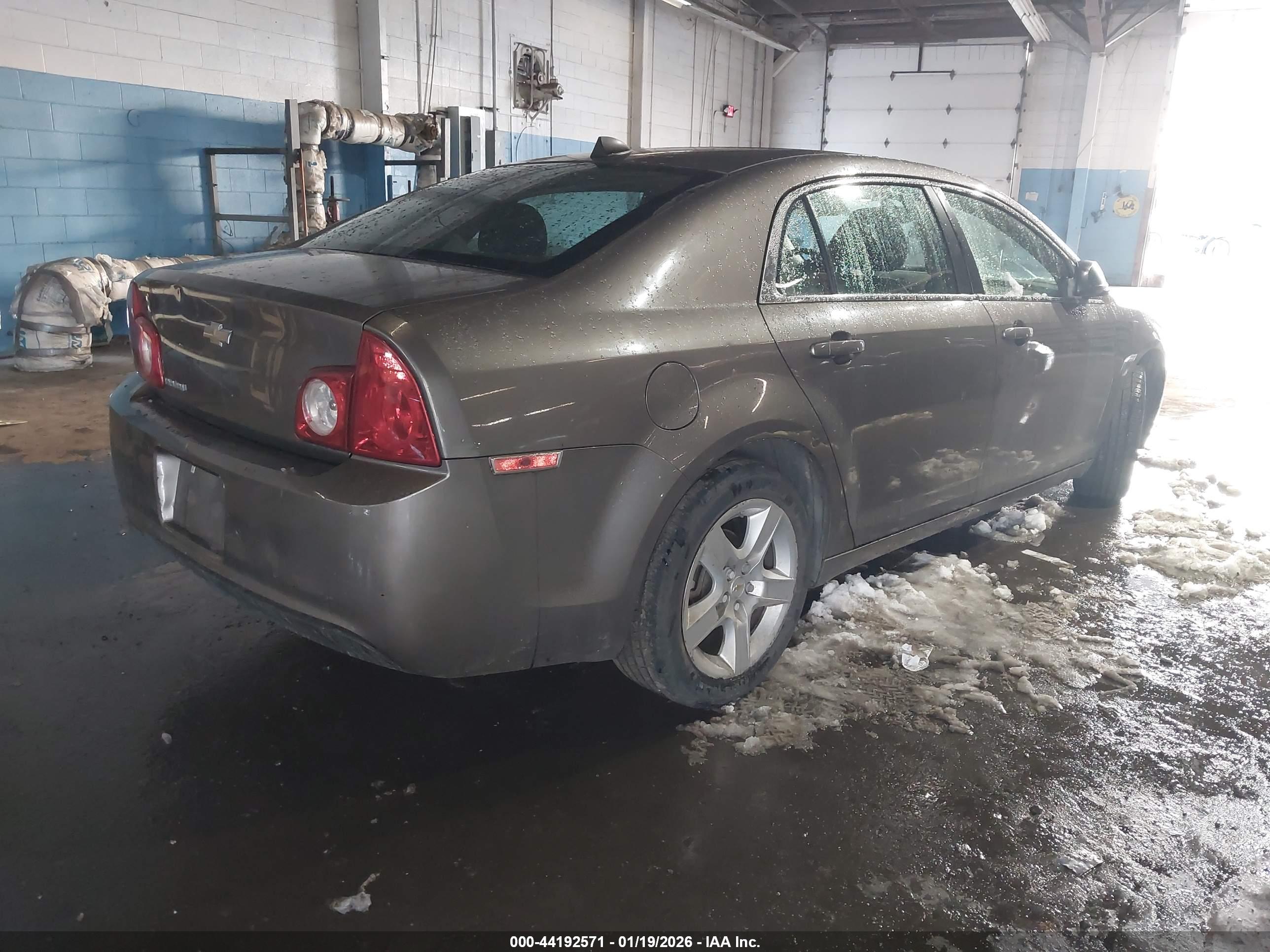 CHEVROLET MALIBU image 4