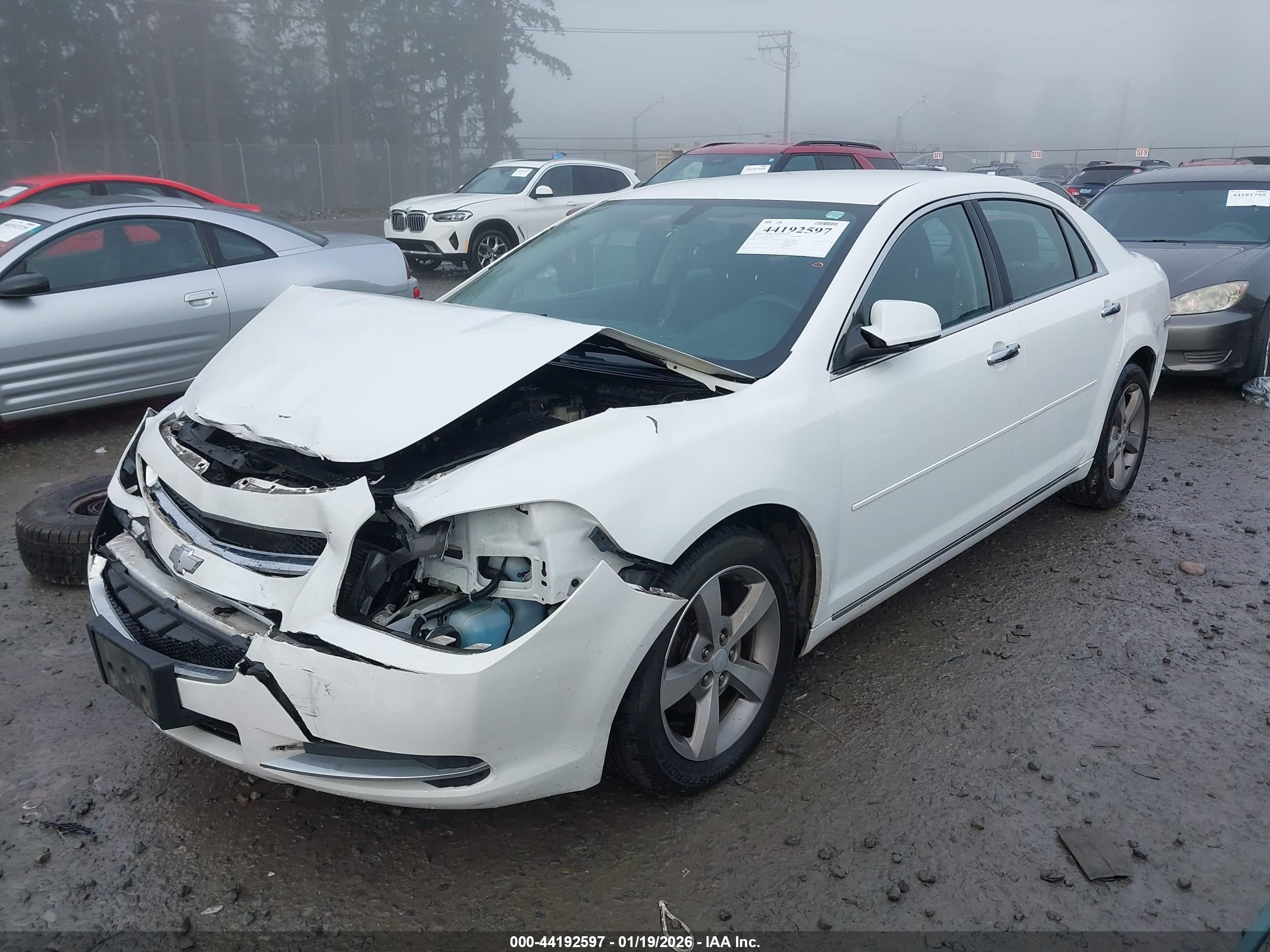 CHEVROLET MALIBU image 2