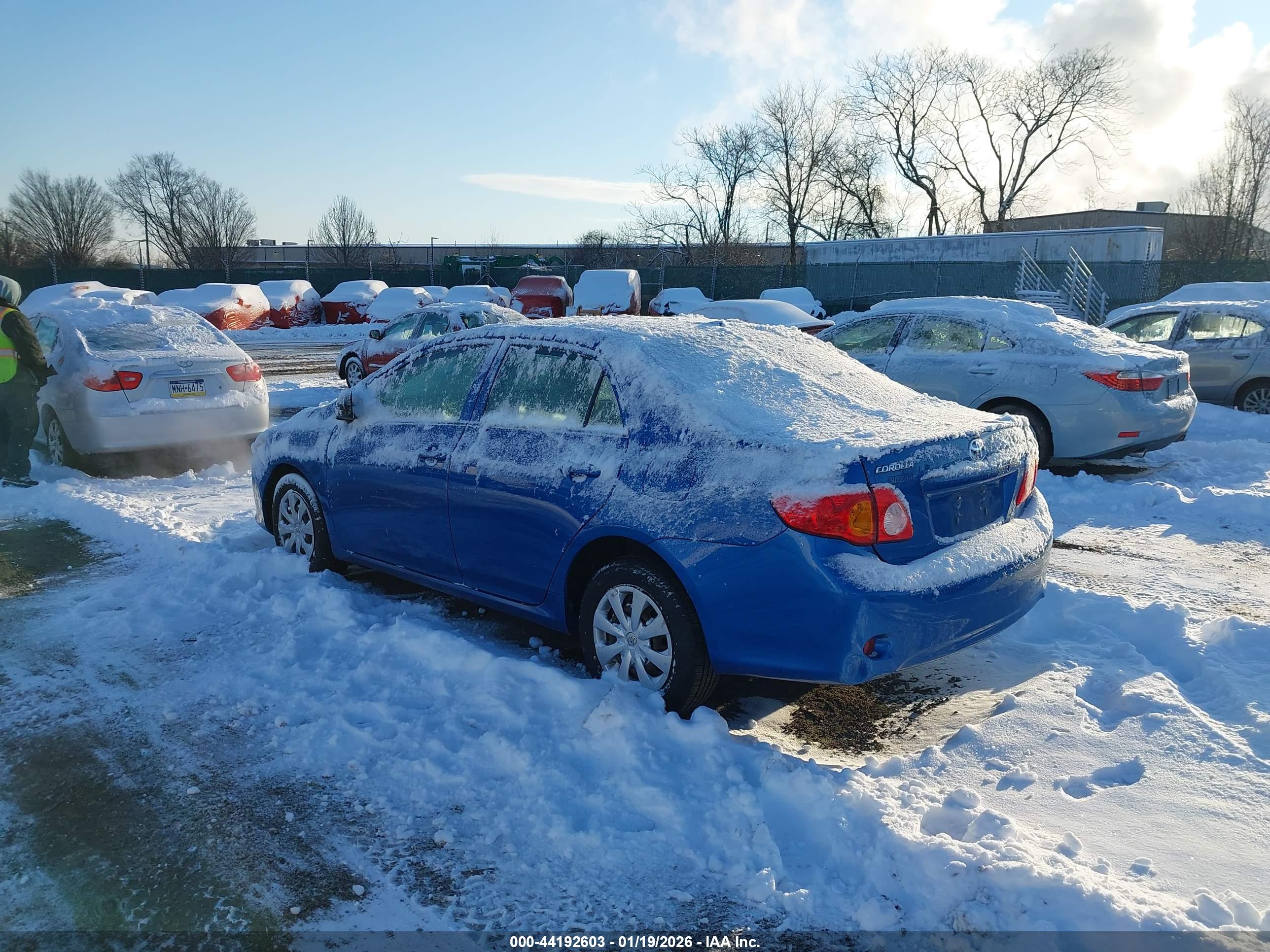 TOYOTA COROLLA image 3