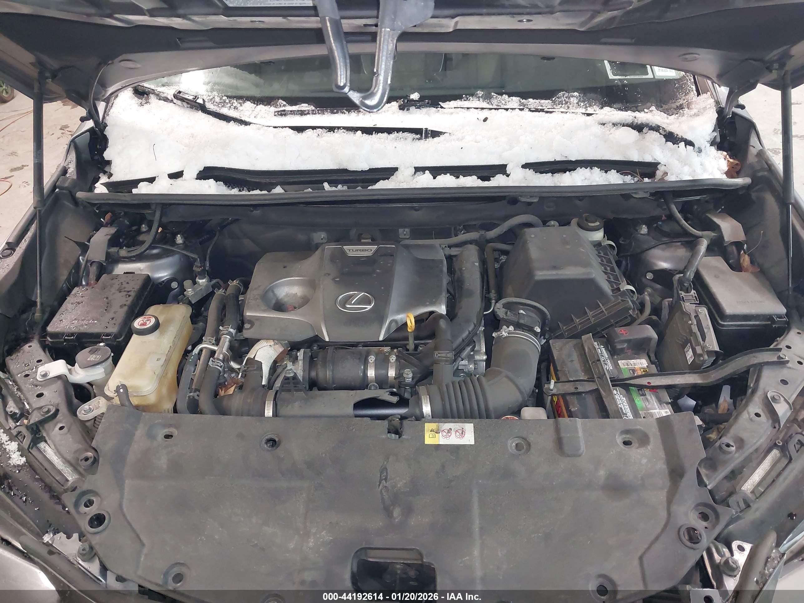 LEXUS NX image 10
