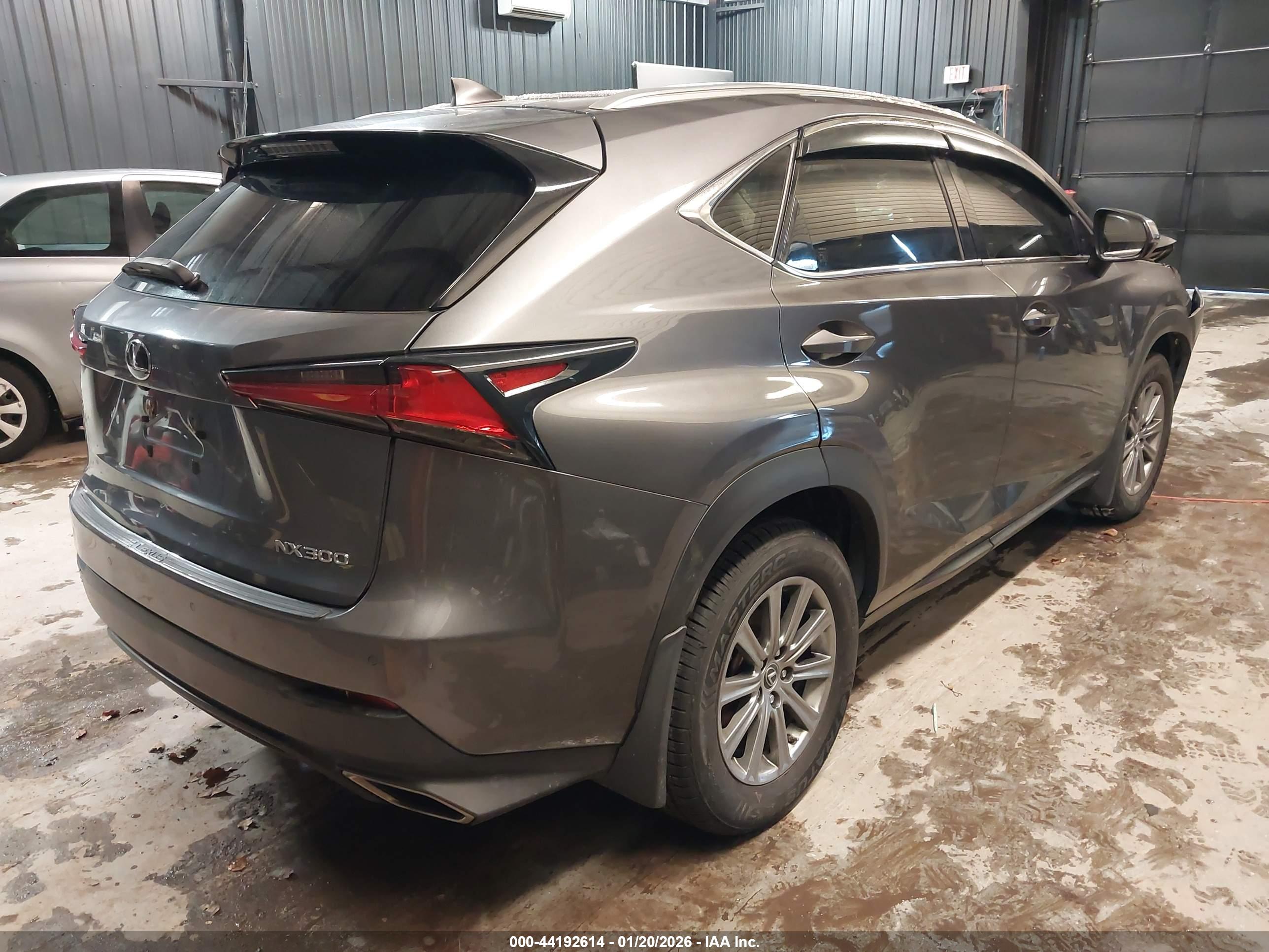 LEXUS NX image 4