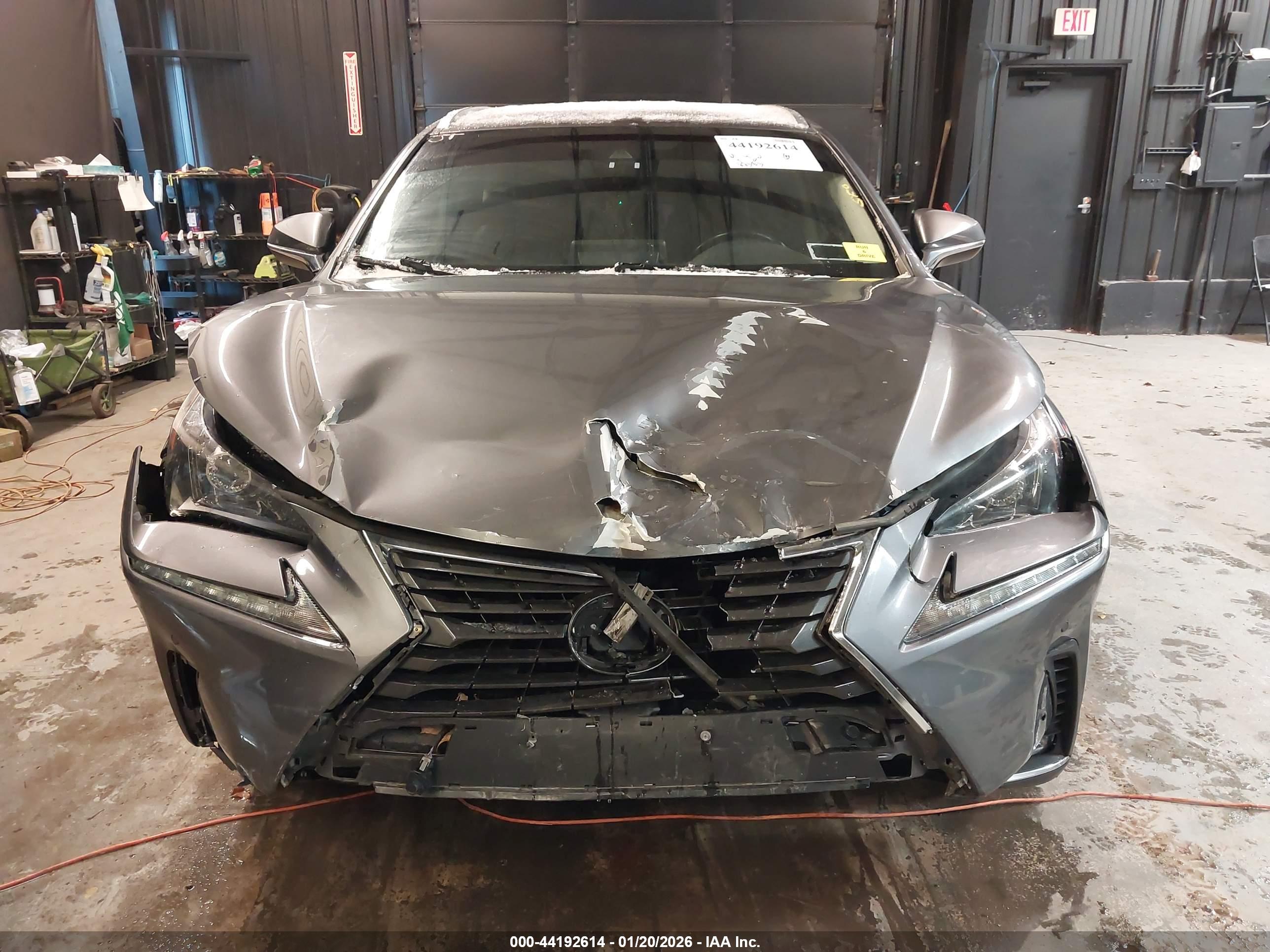 LEXUS NX image 6