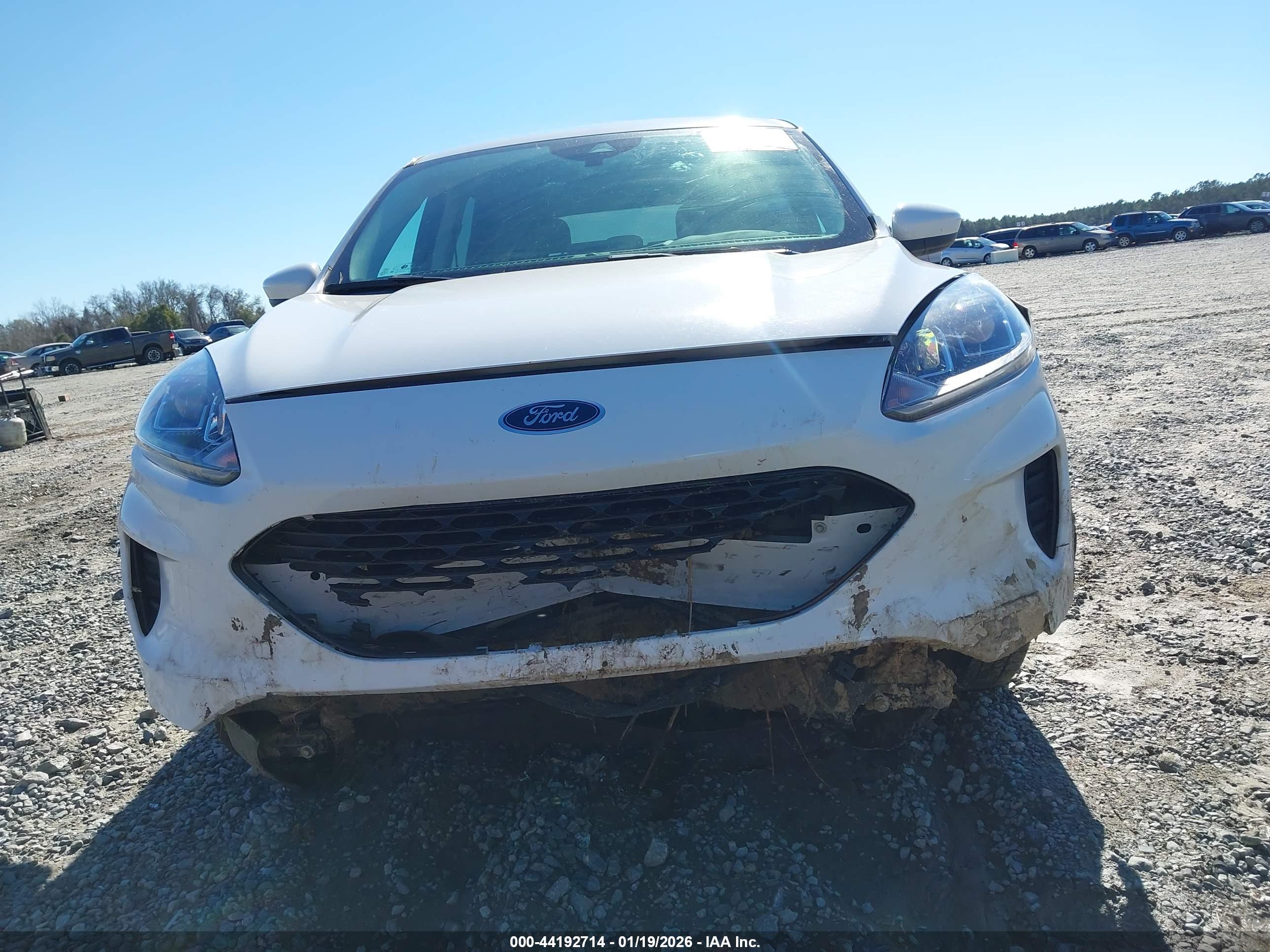 FORD ESCAPE image 6