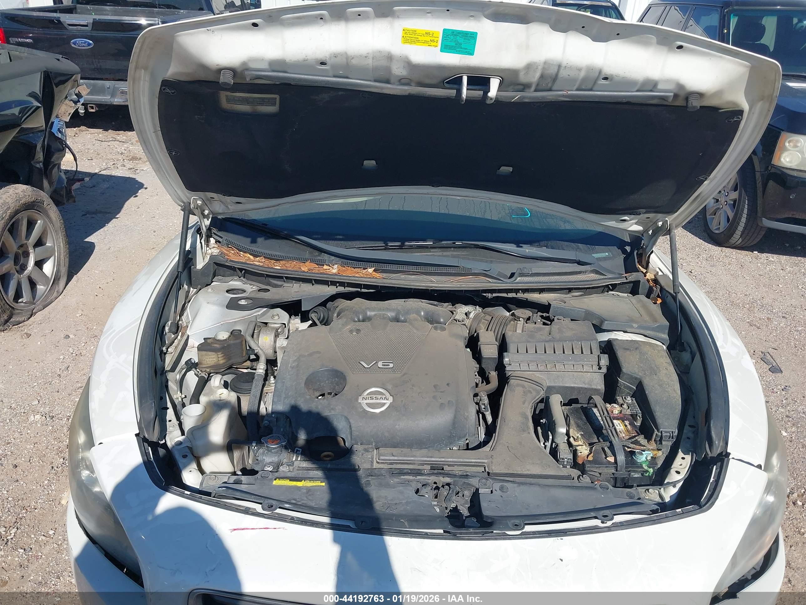 NISSAN MAXIMA image 10
