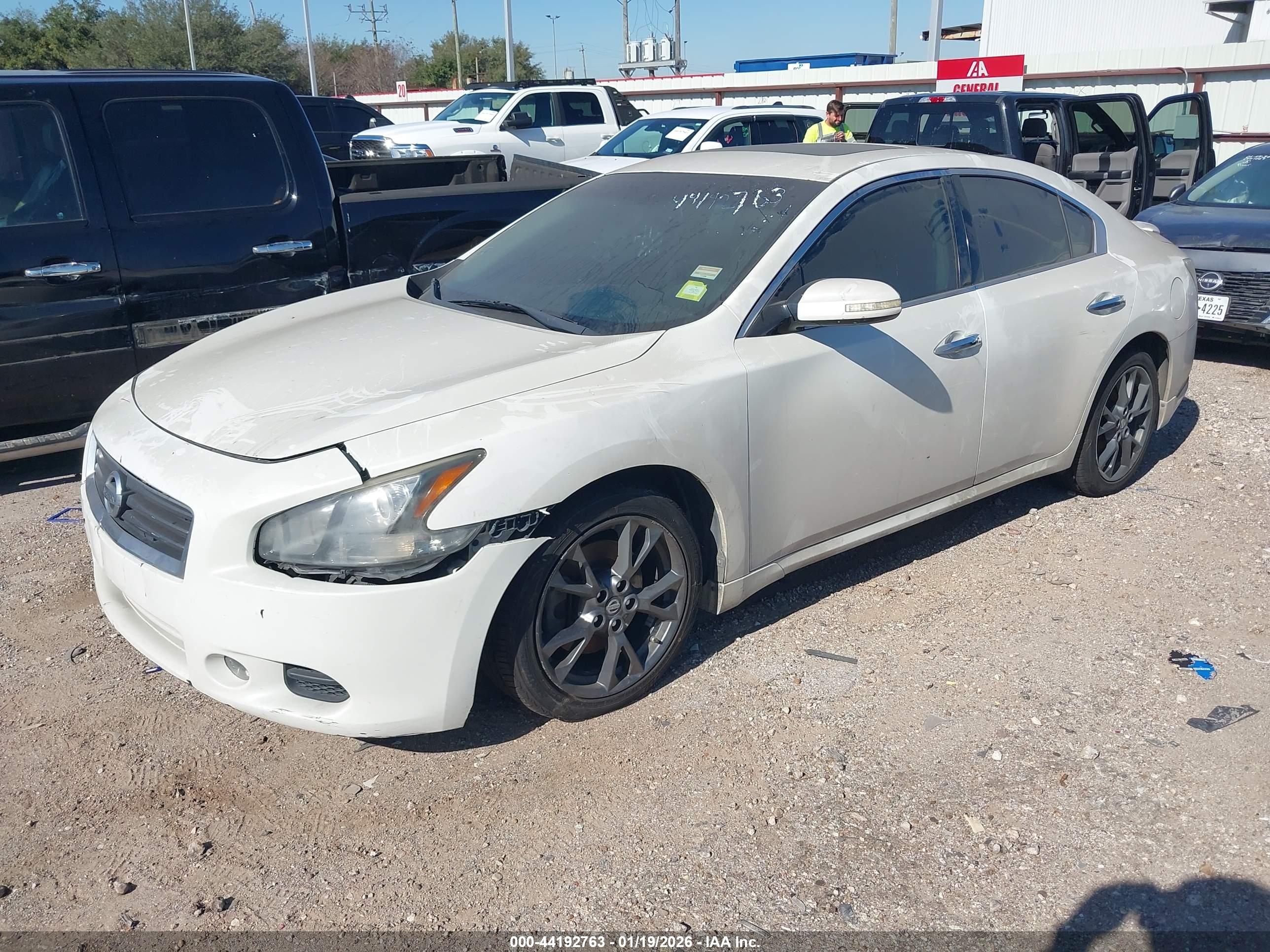 NISSAN MAXIMA image 2