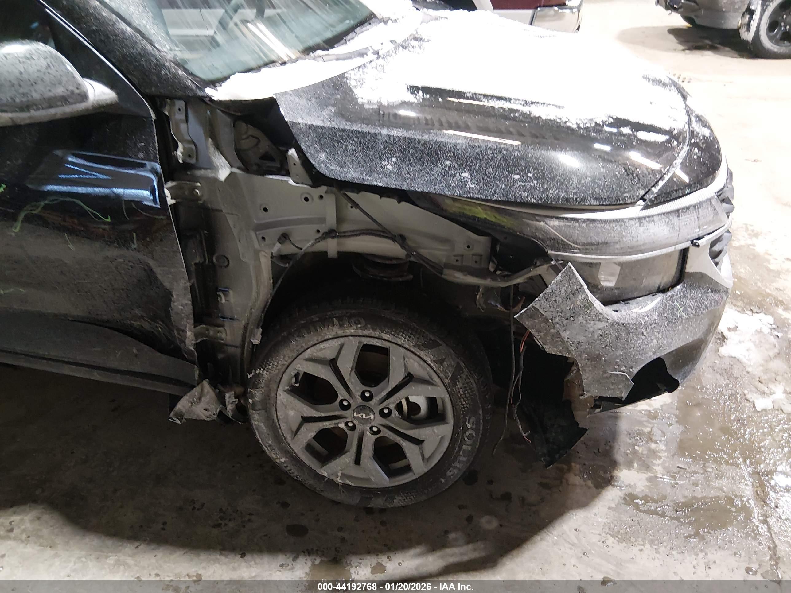 KIA SELTOS image 6