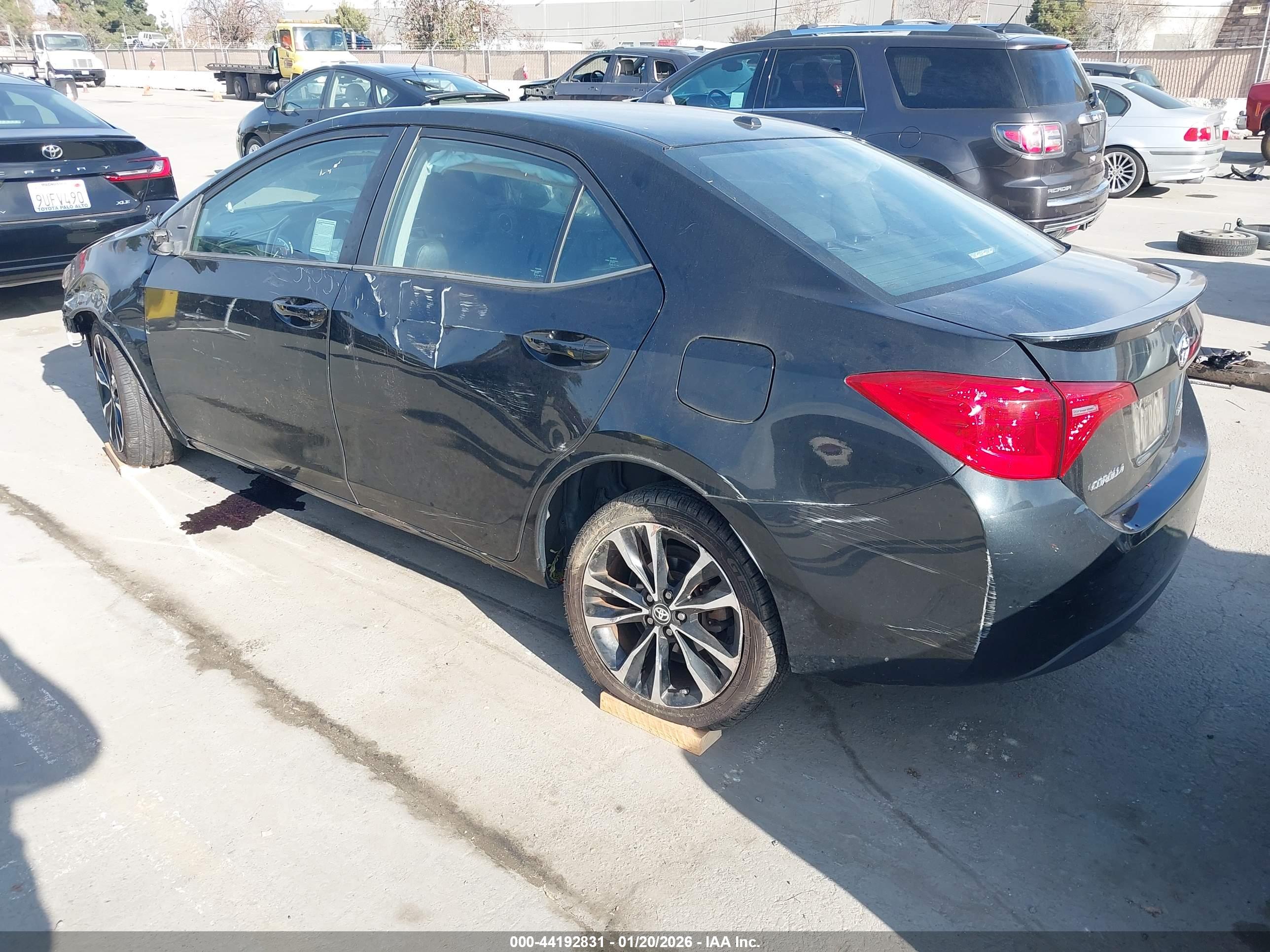 TOYOTA COROLLA image 3