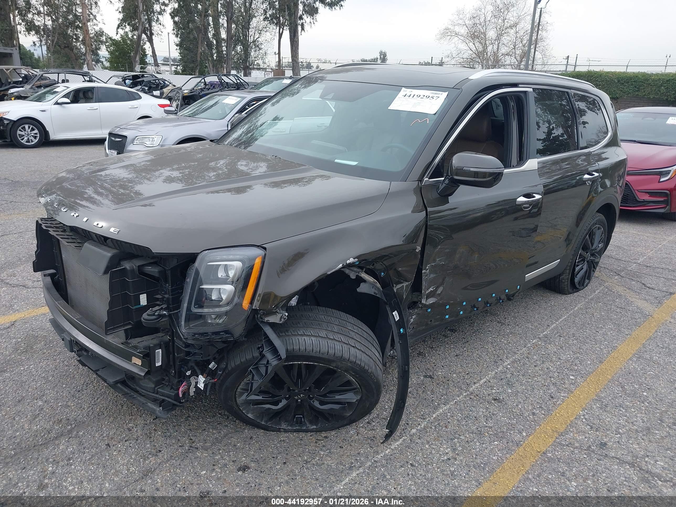KIA TELLURIDE image 2