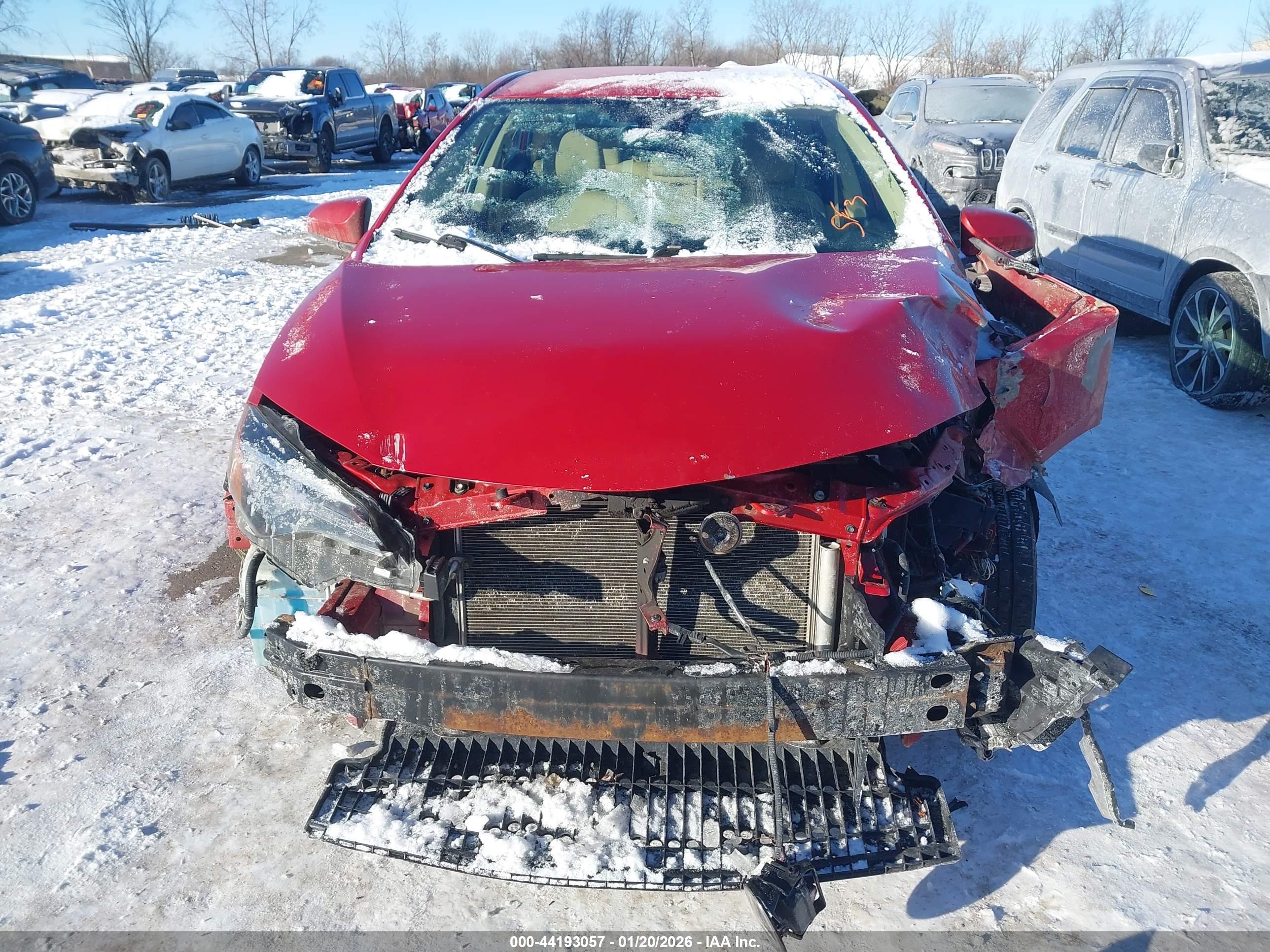 TOYOTA COROLLA image 6
