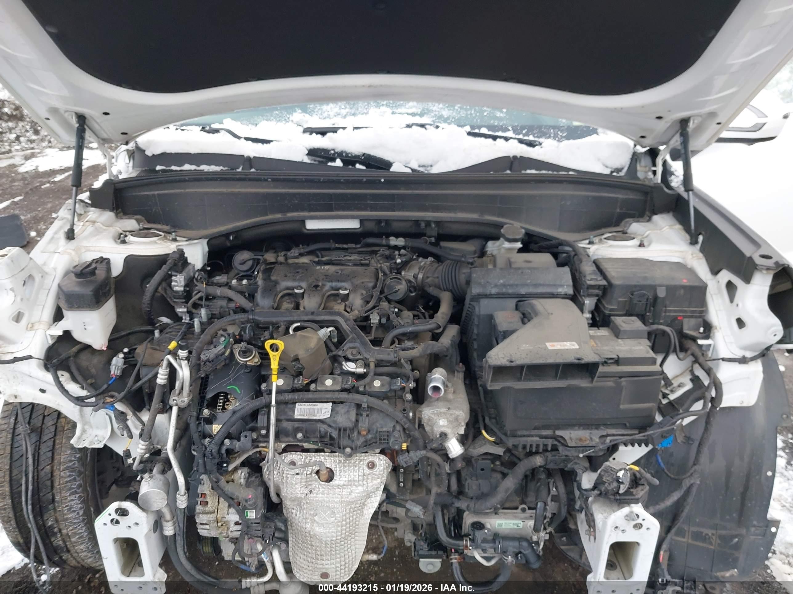 HYUNDAI PALISADE image 10
