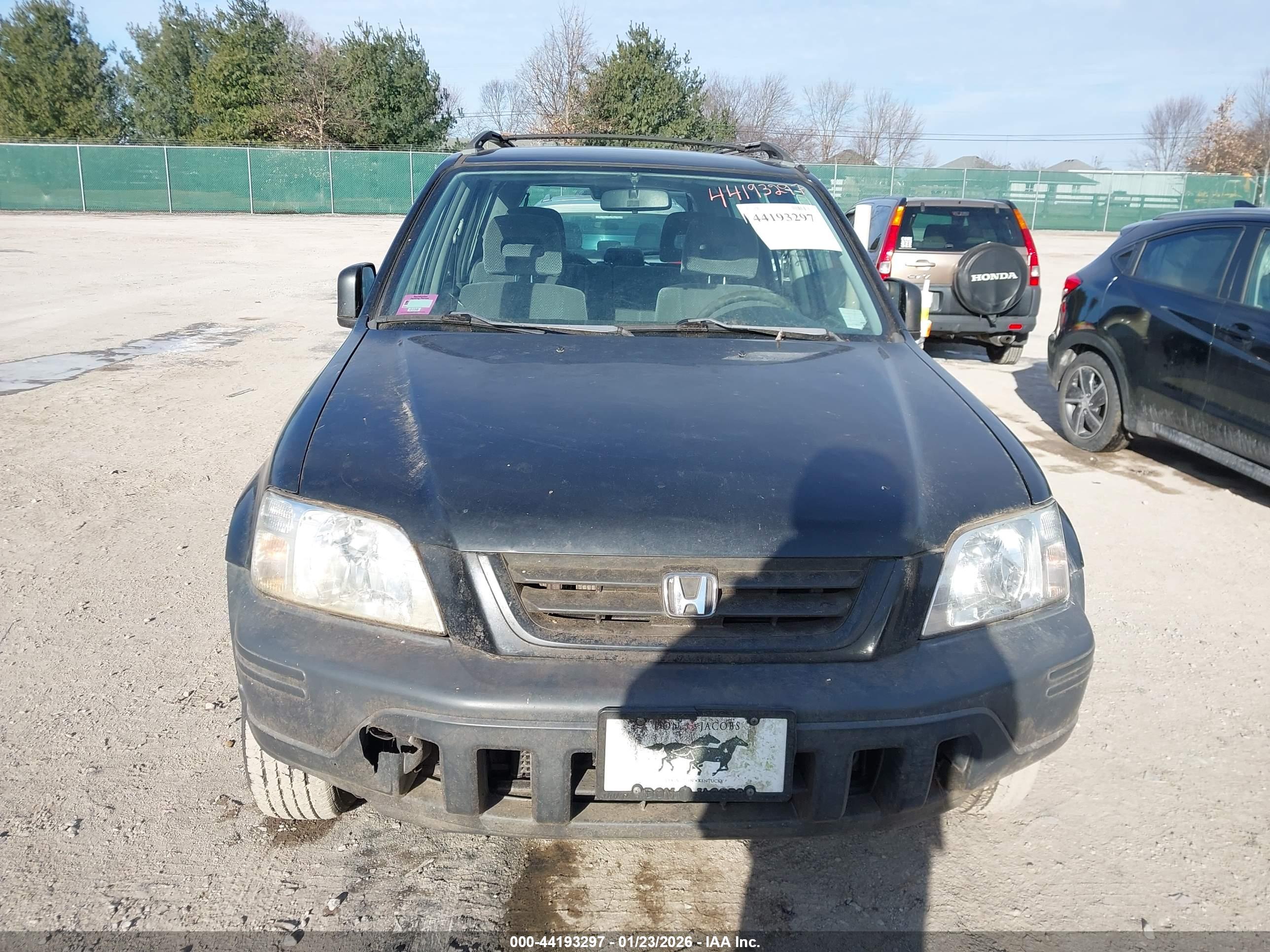 HONDA CR-V image 6