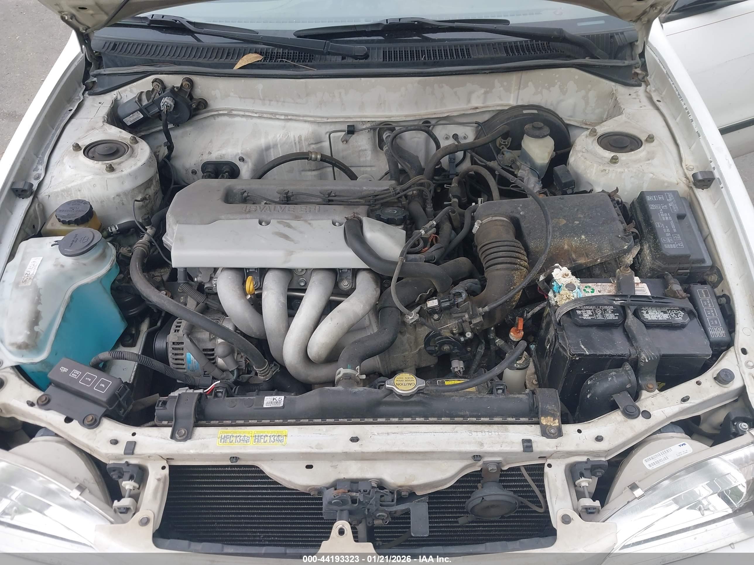 TOYOTA COROLLA image 10