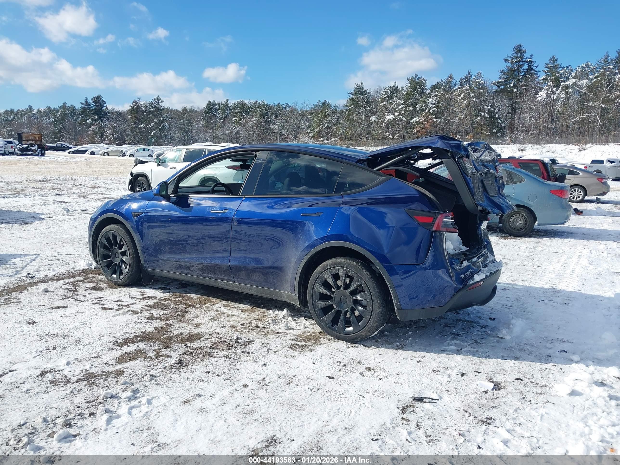 TESLA MODEL image 3