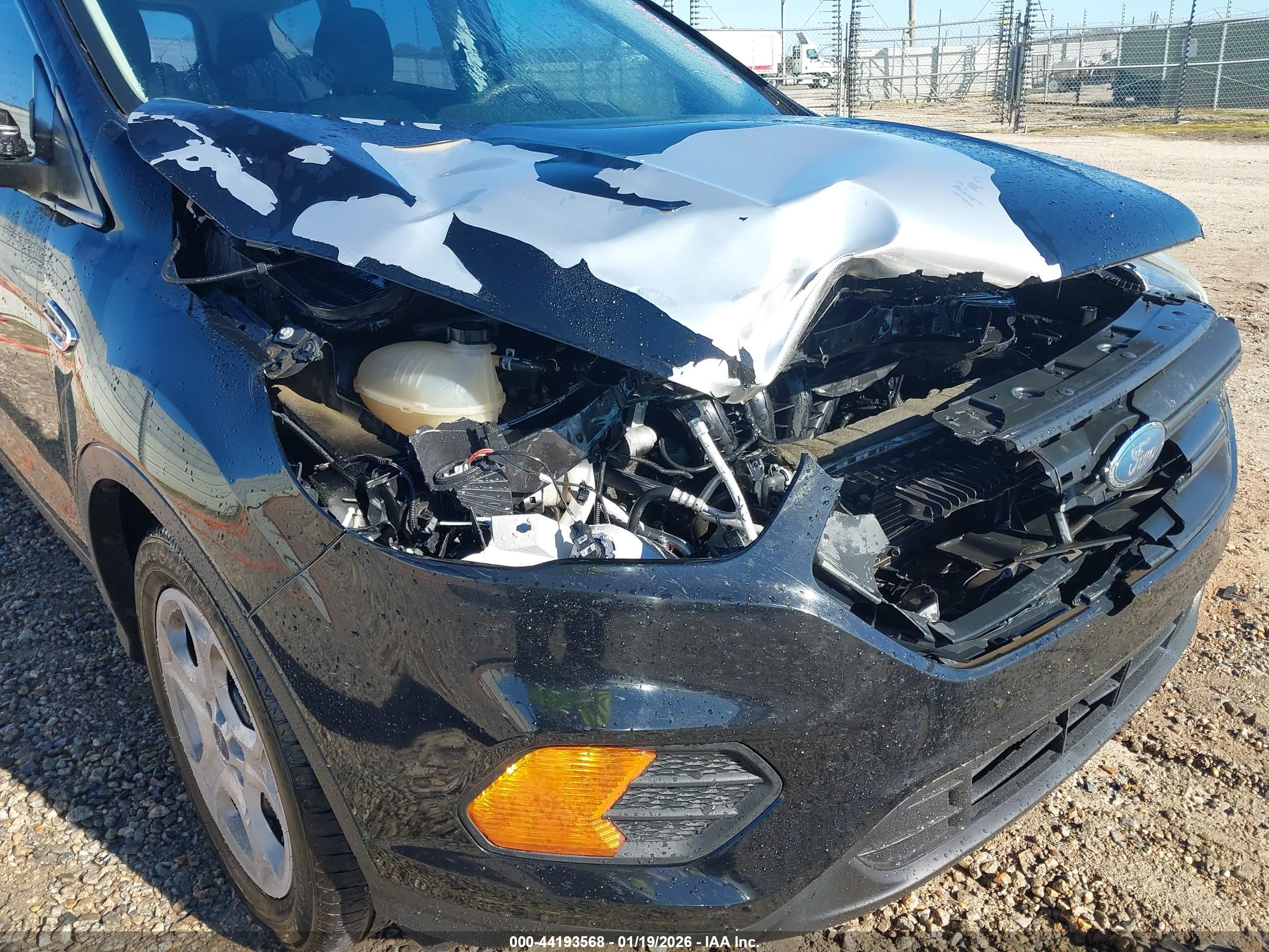 FORD ESCAPE image 6