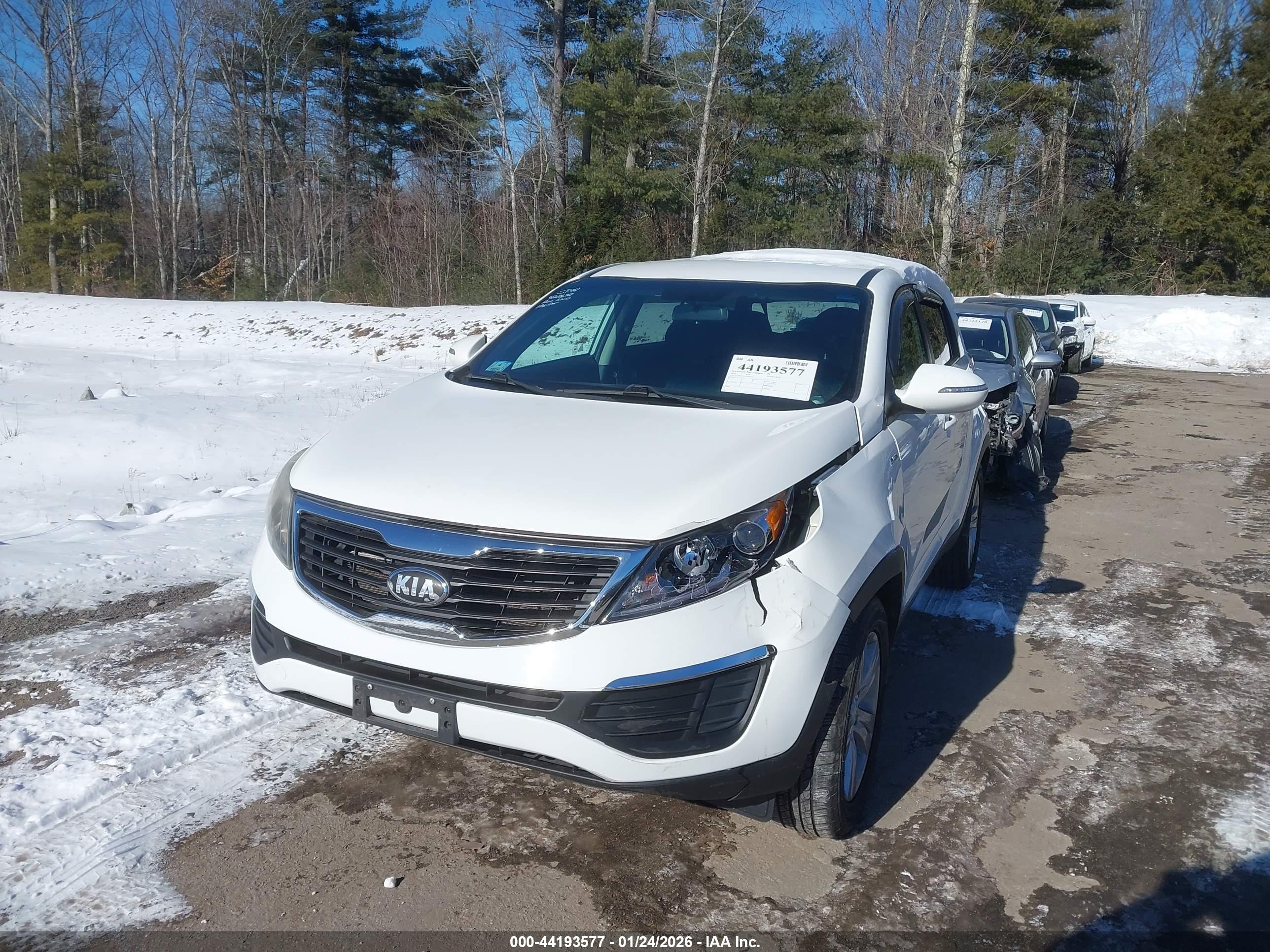 KIA SPORTAGE image 2