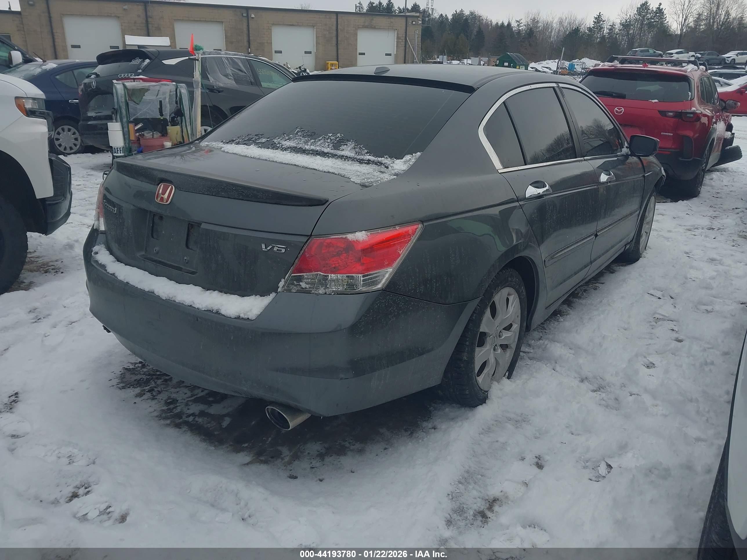 HONDA ACCORD image 4