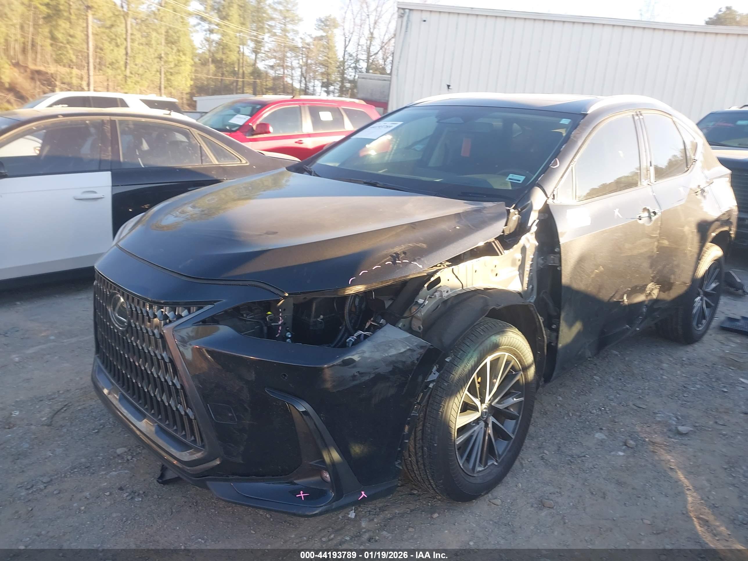 LEXUS NX image 2