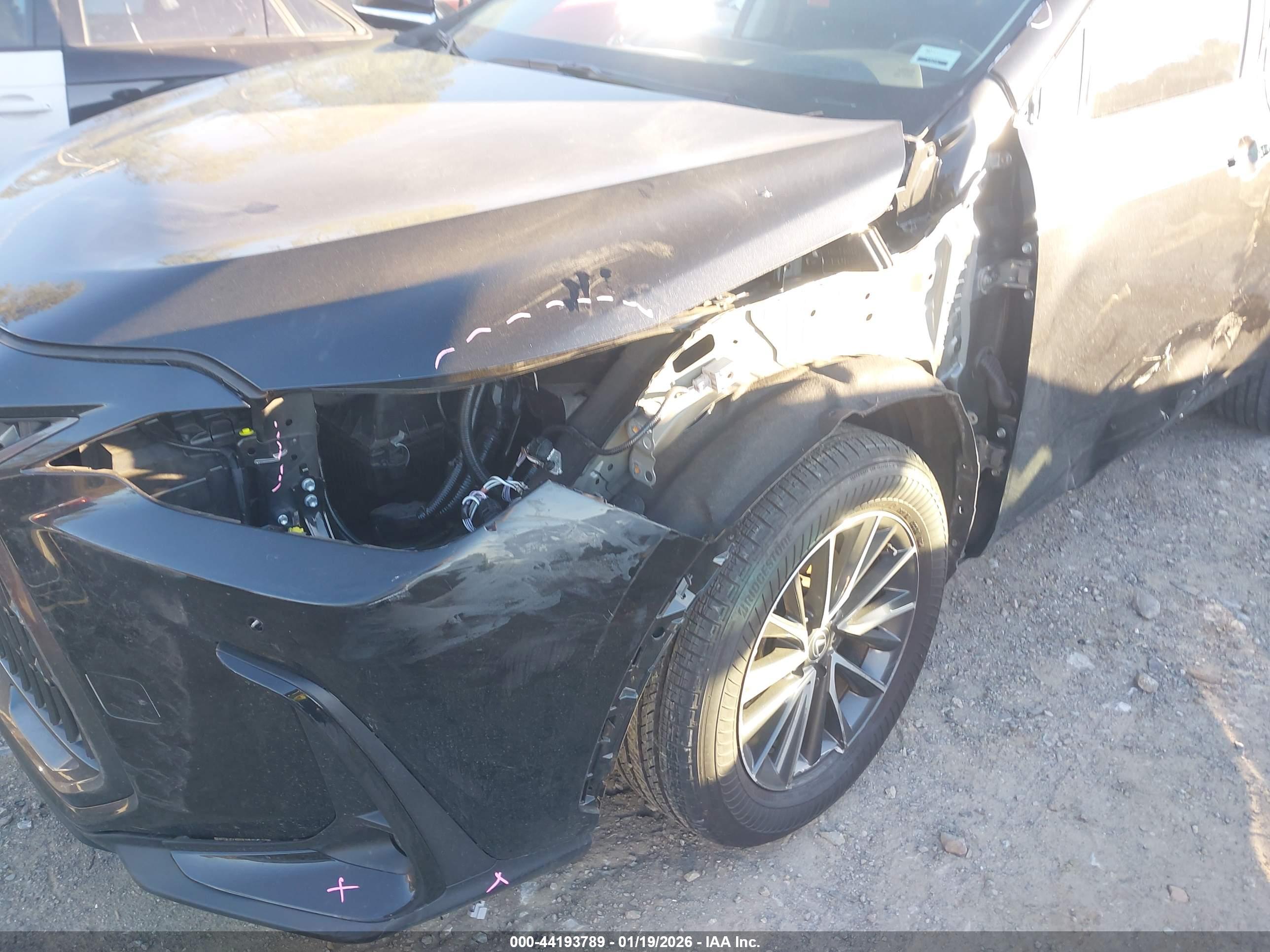 LEXUS NX image 6