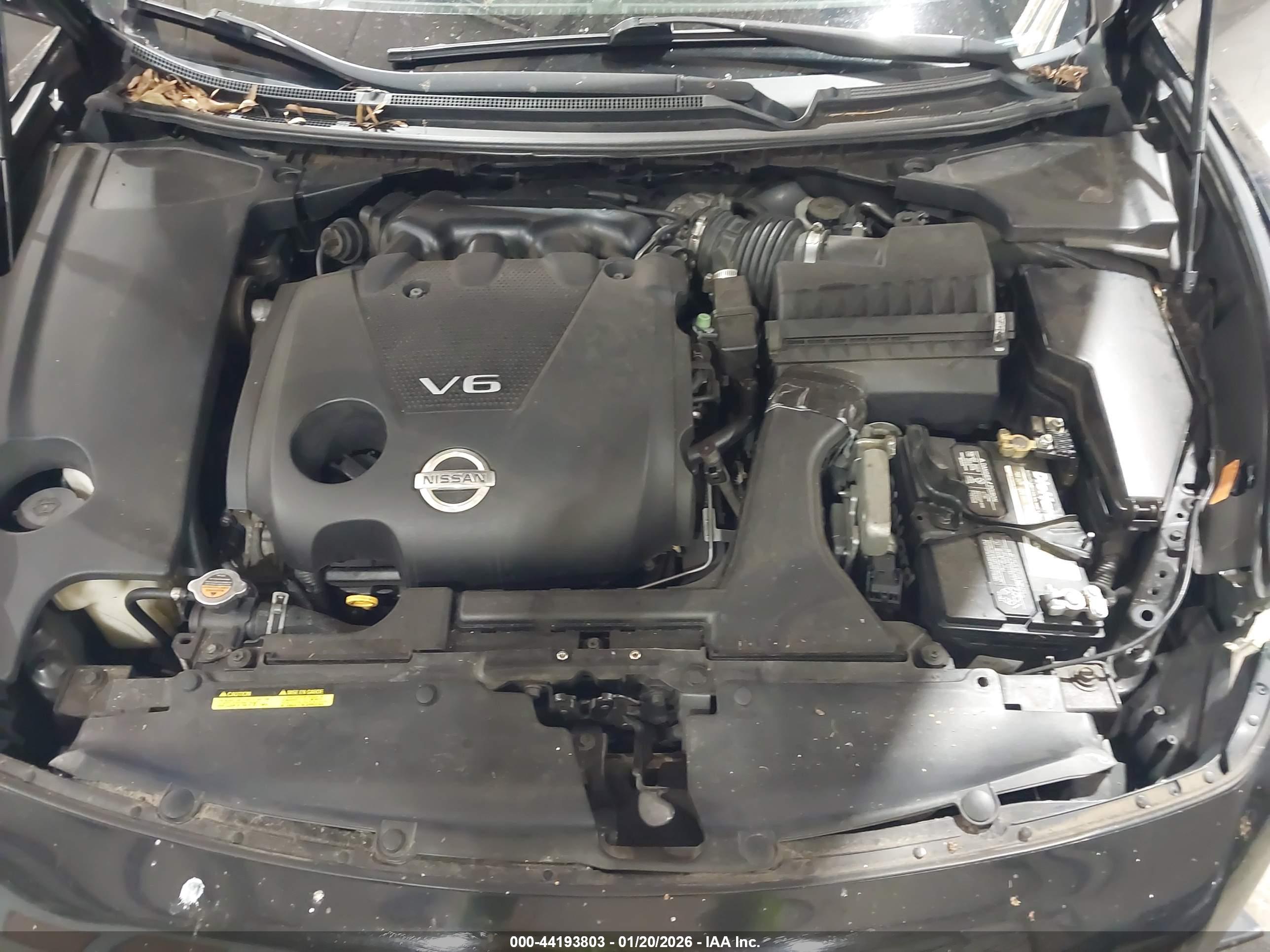 NISSAN MAXIMA image 10
