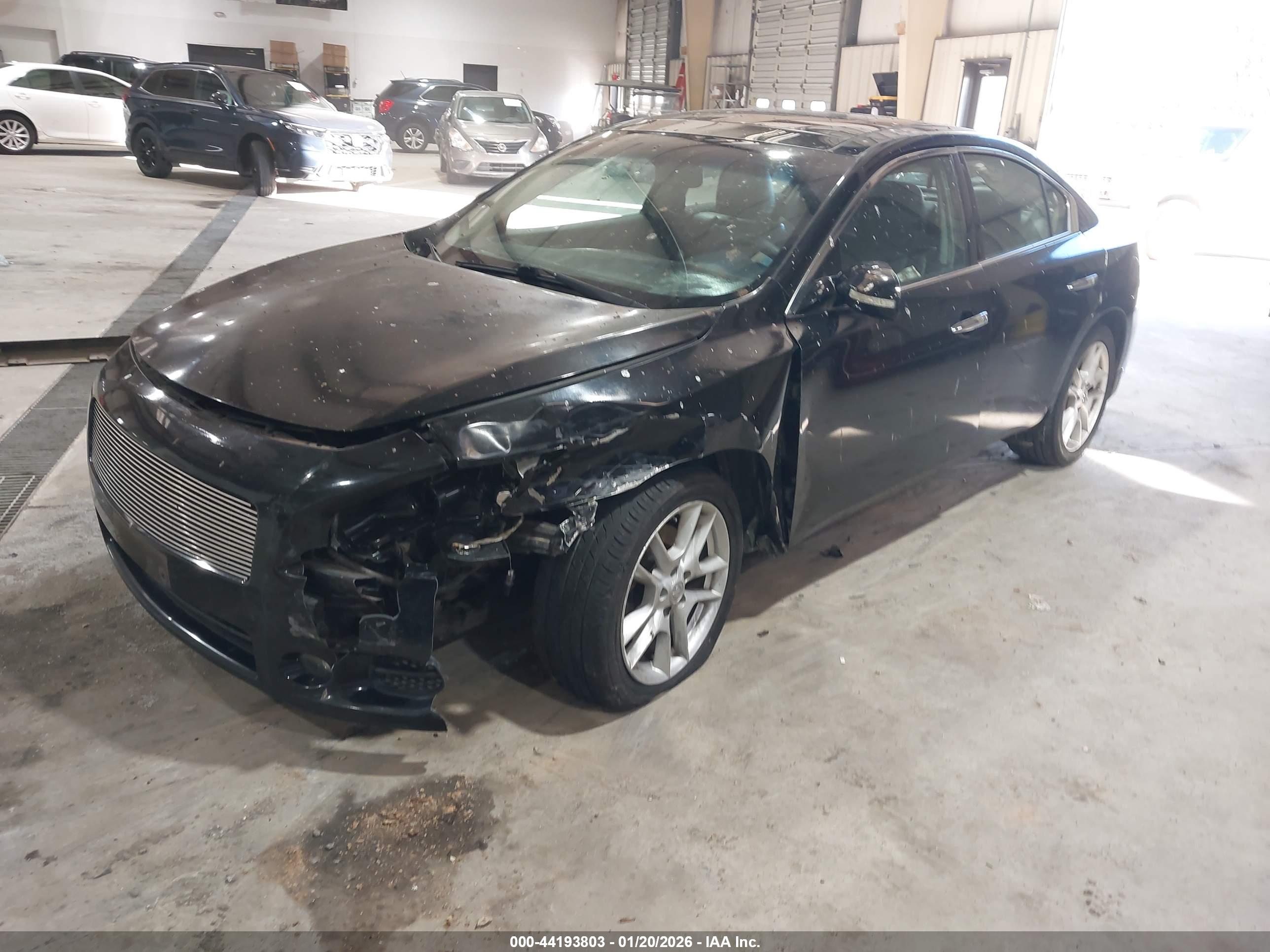 NISSAN MAXIMA image 2